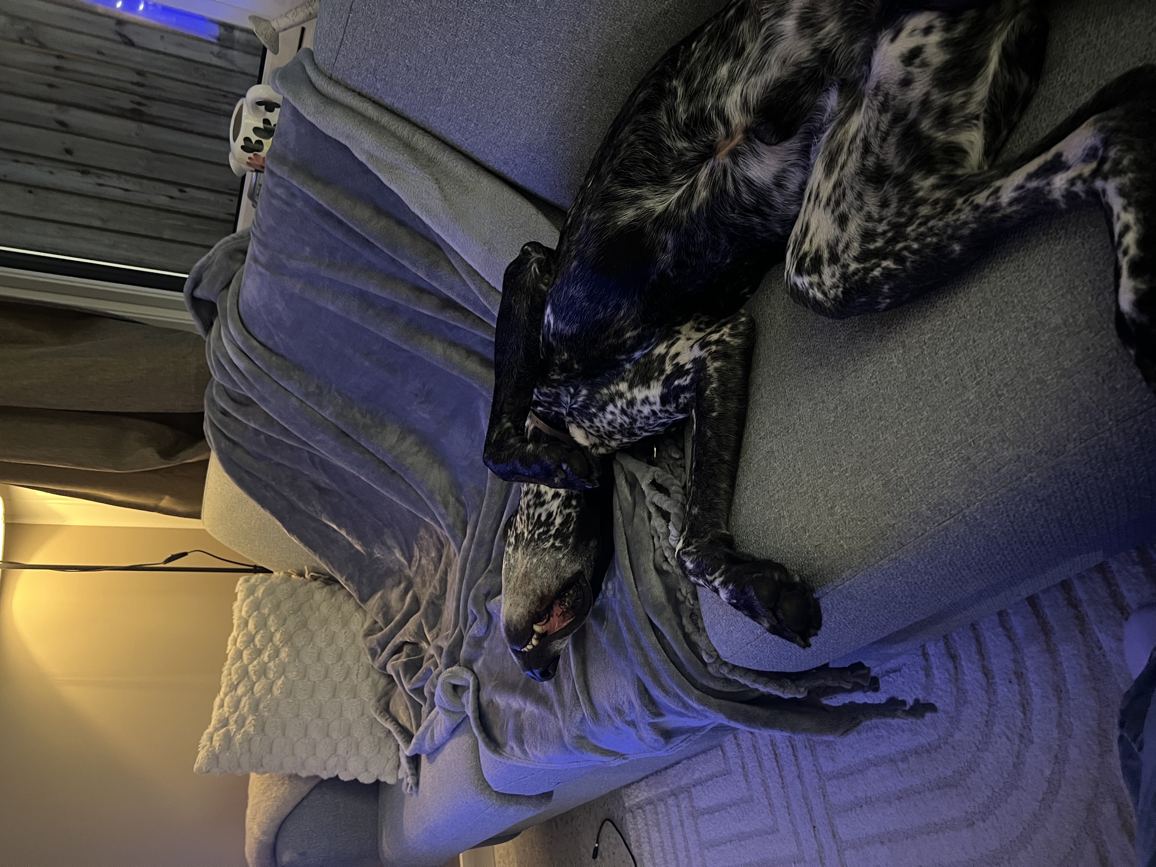 image-6