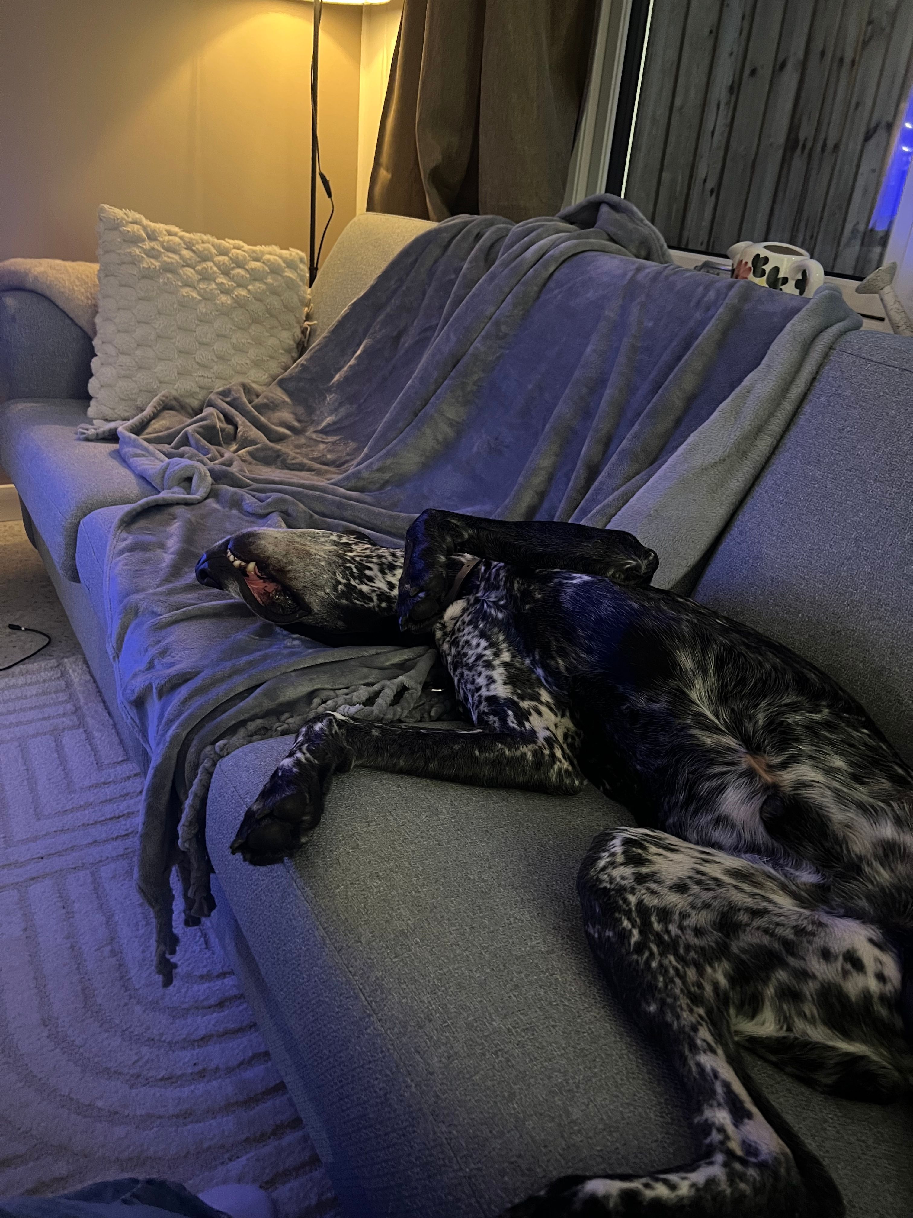 image-6