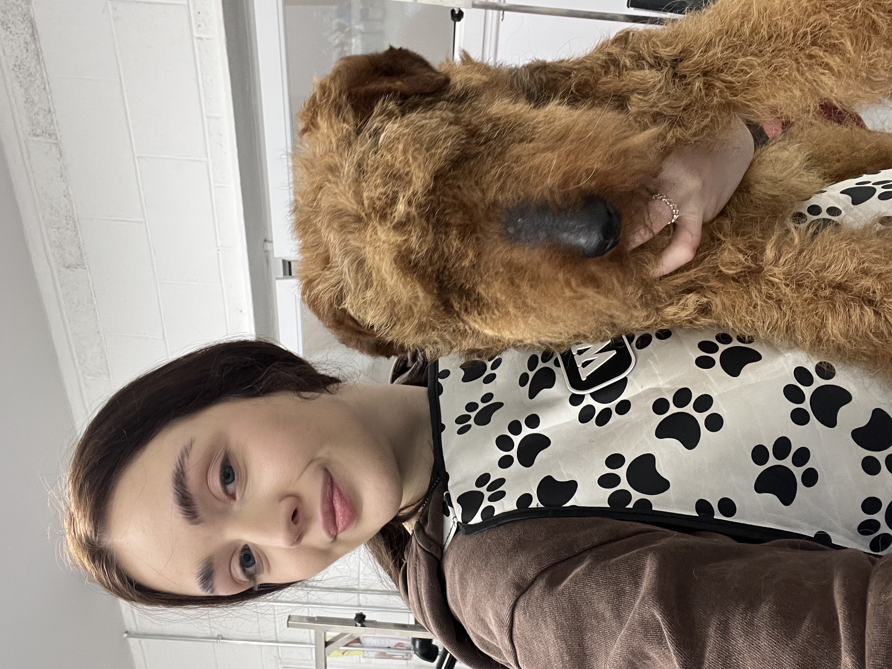 image-5