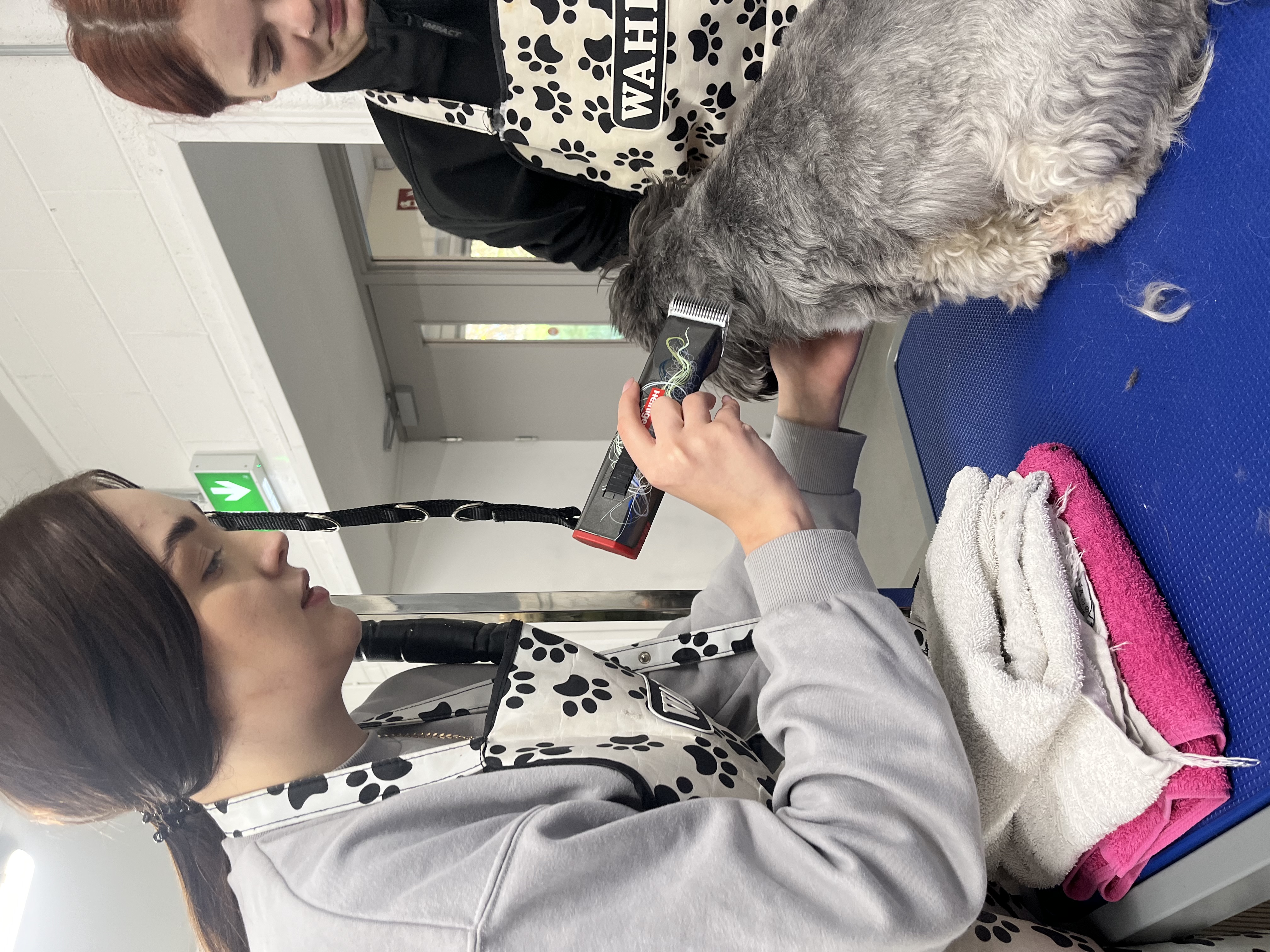 image-6