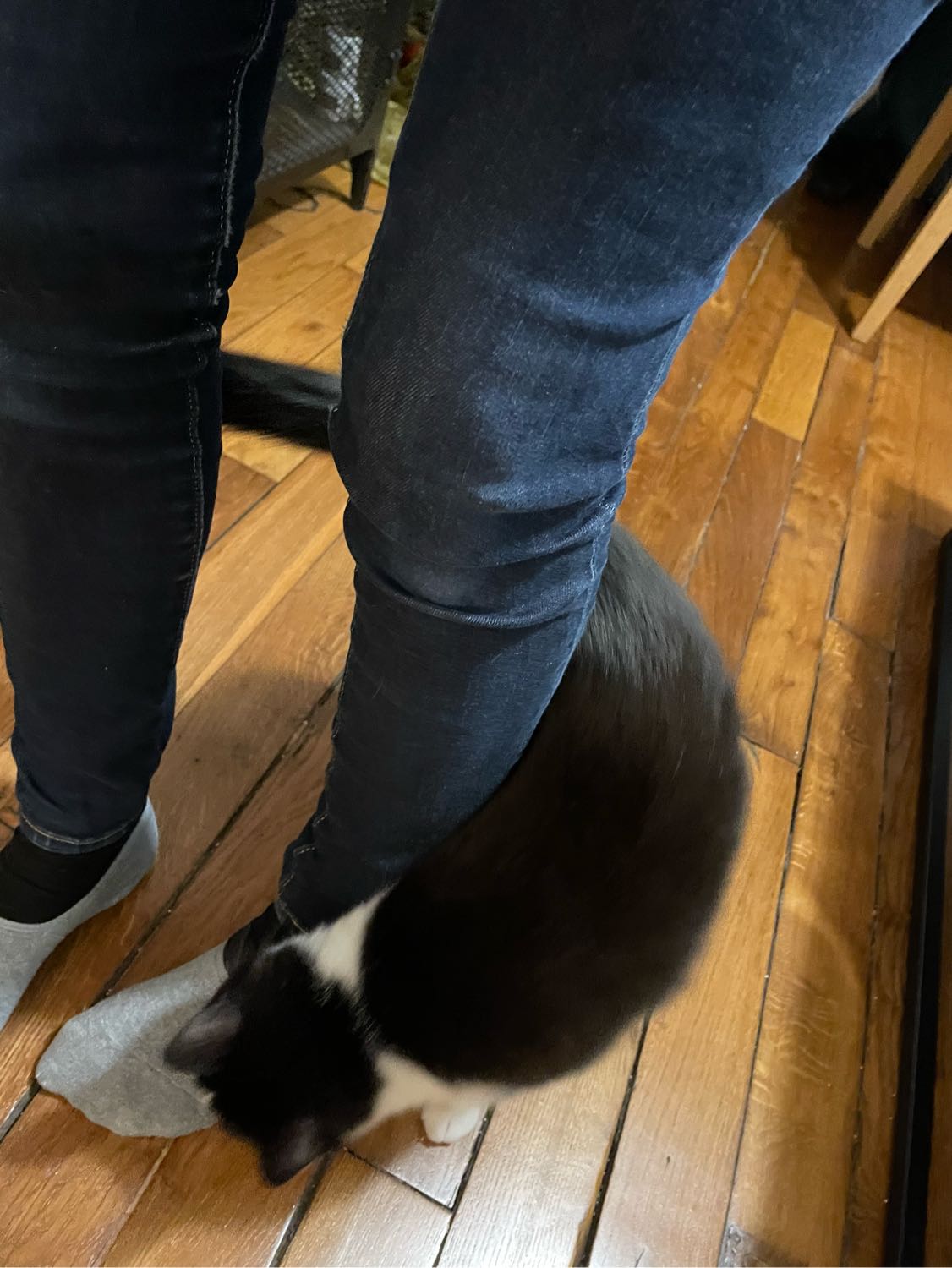 image-6