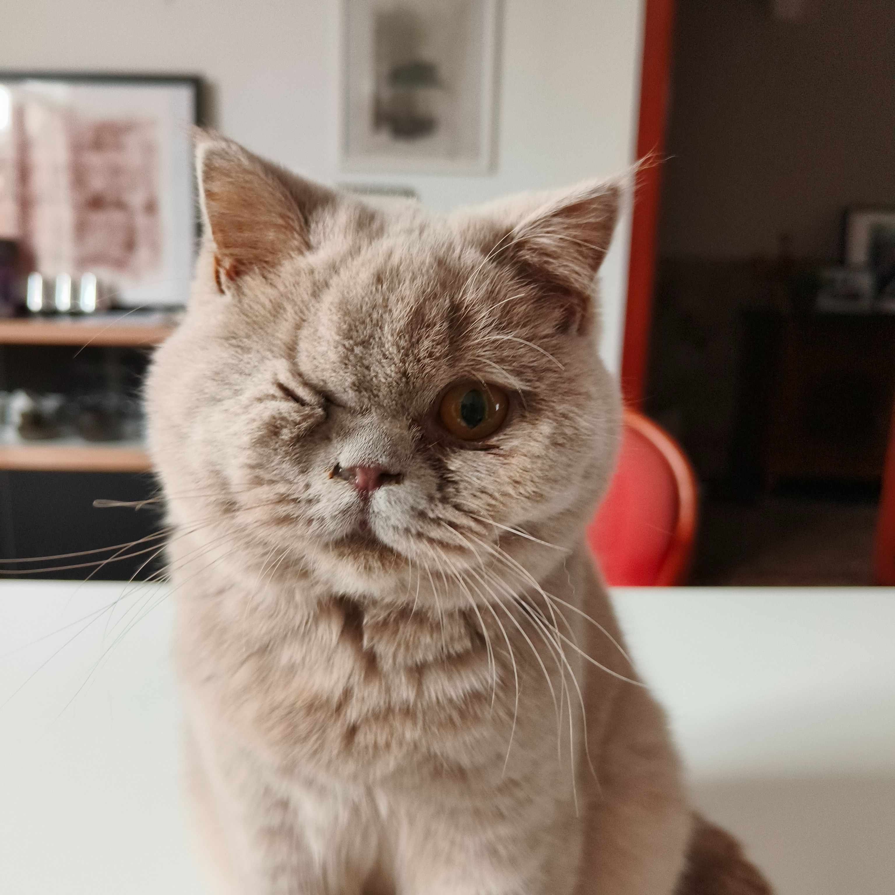 Lou