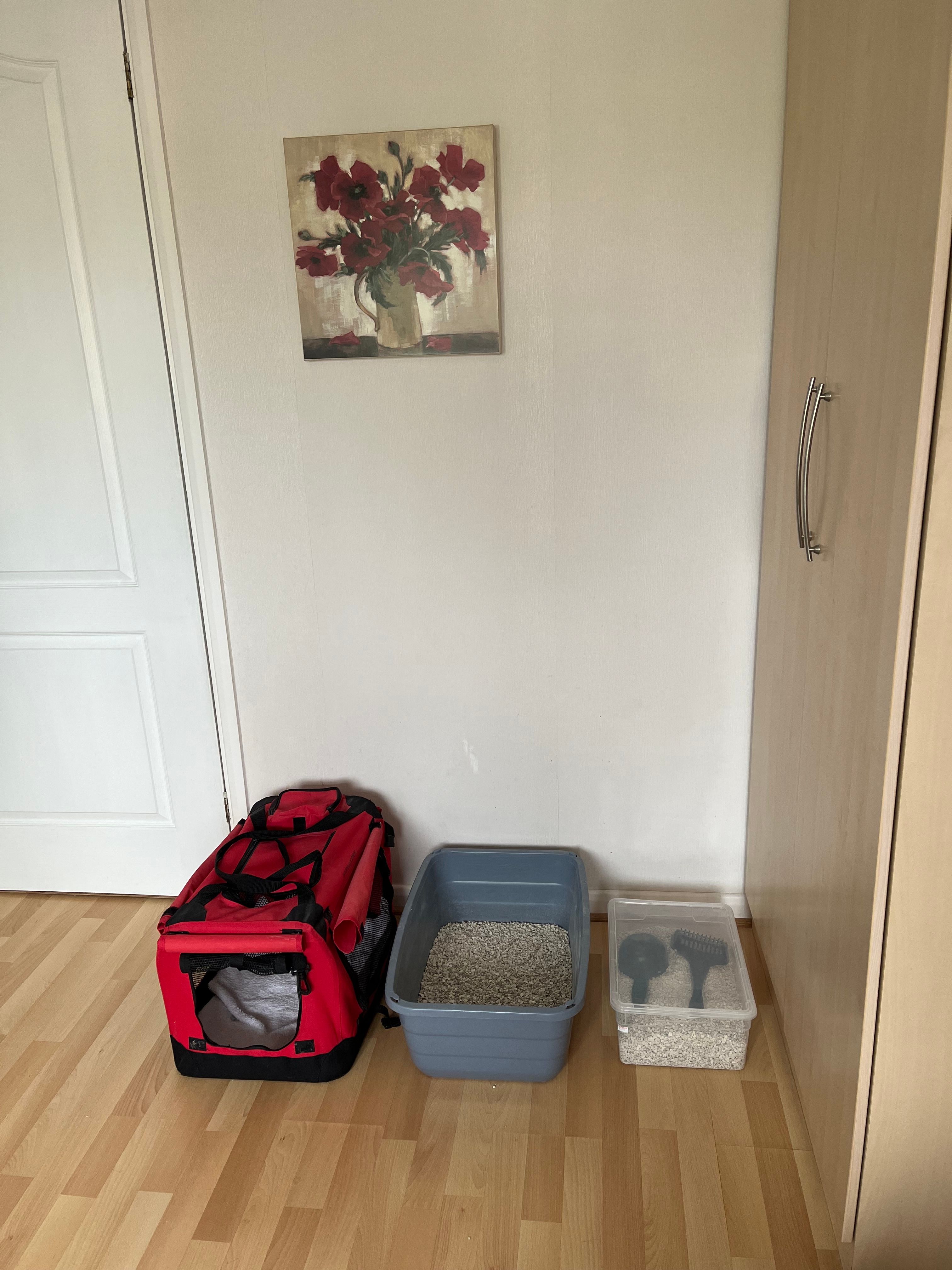 image-18