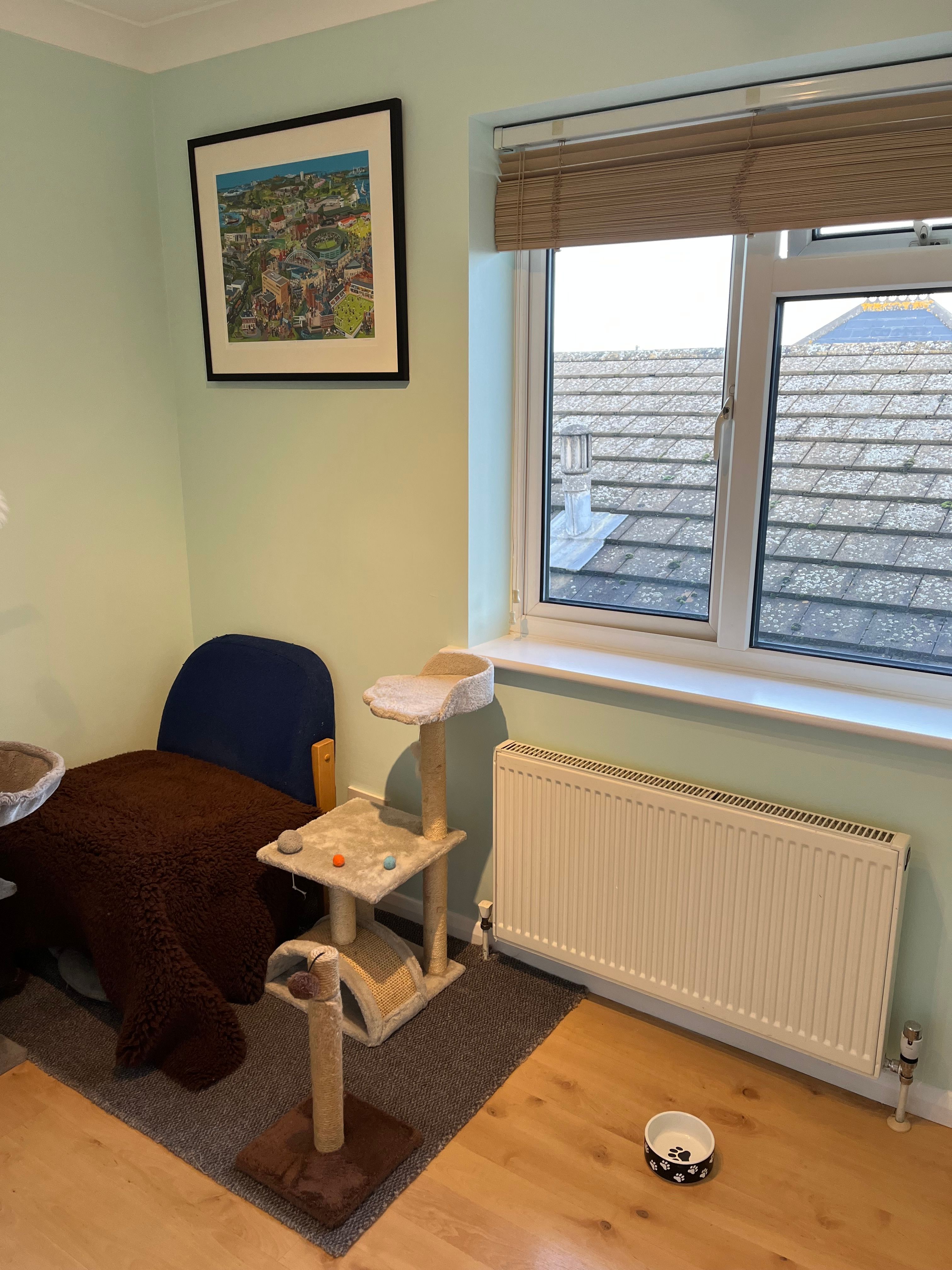 image-19