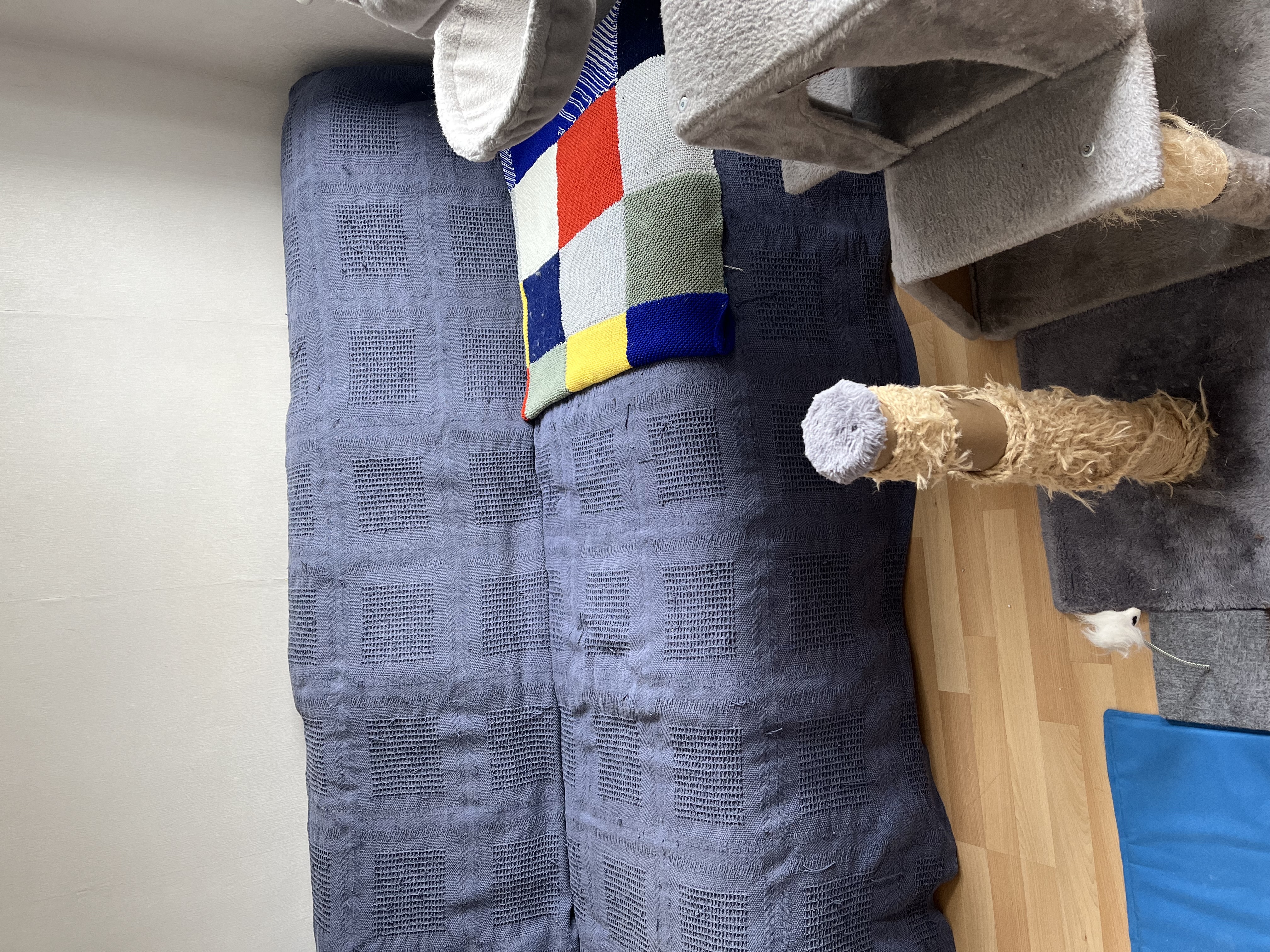 image-16