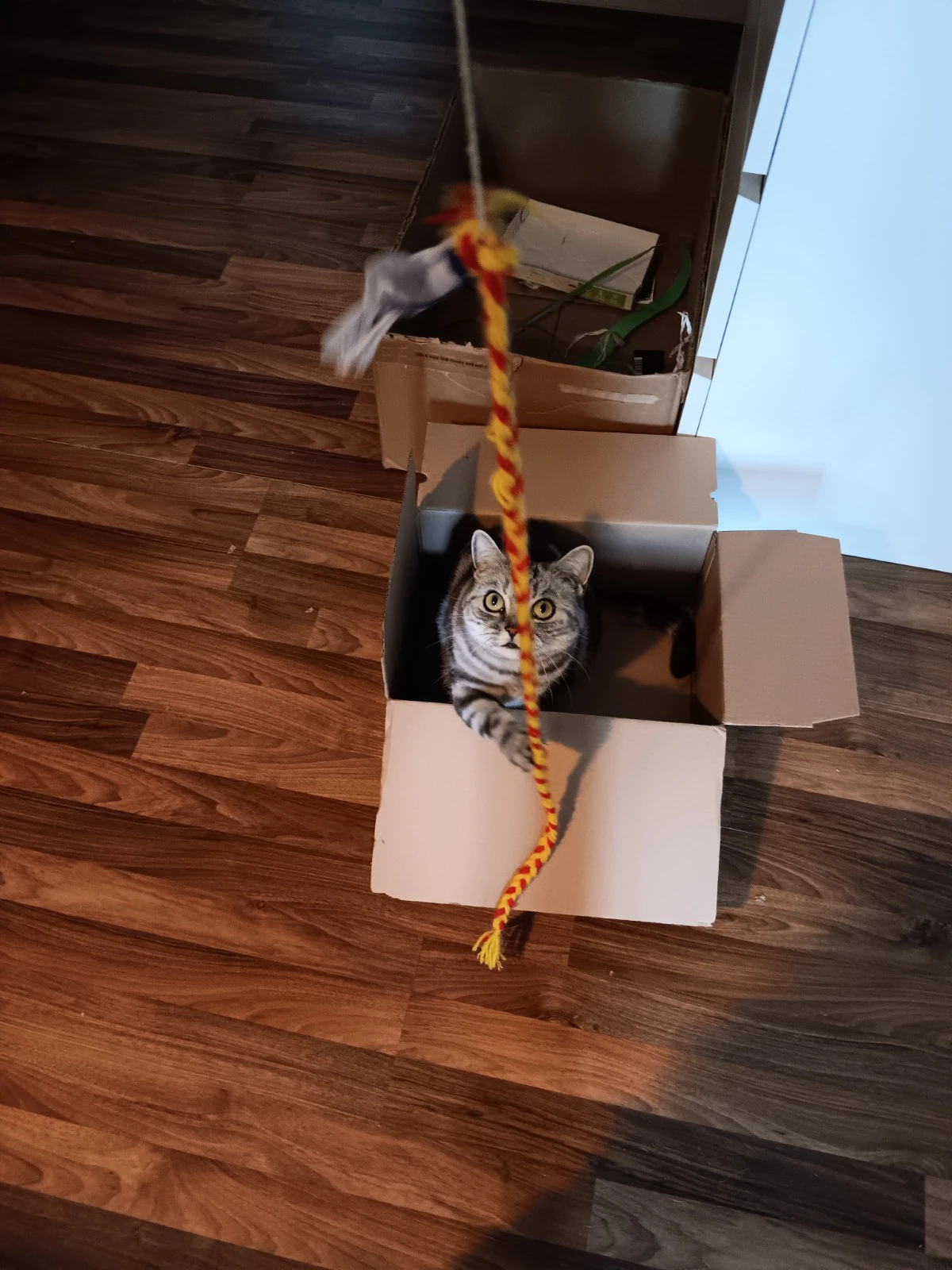 image-9