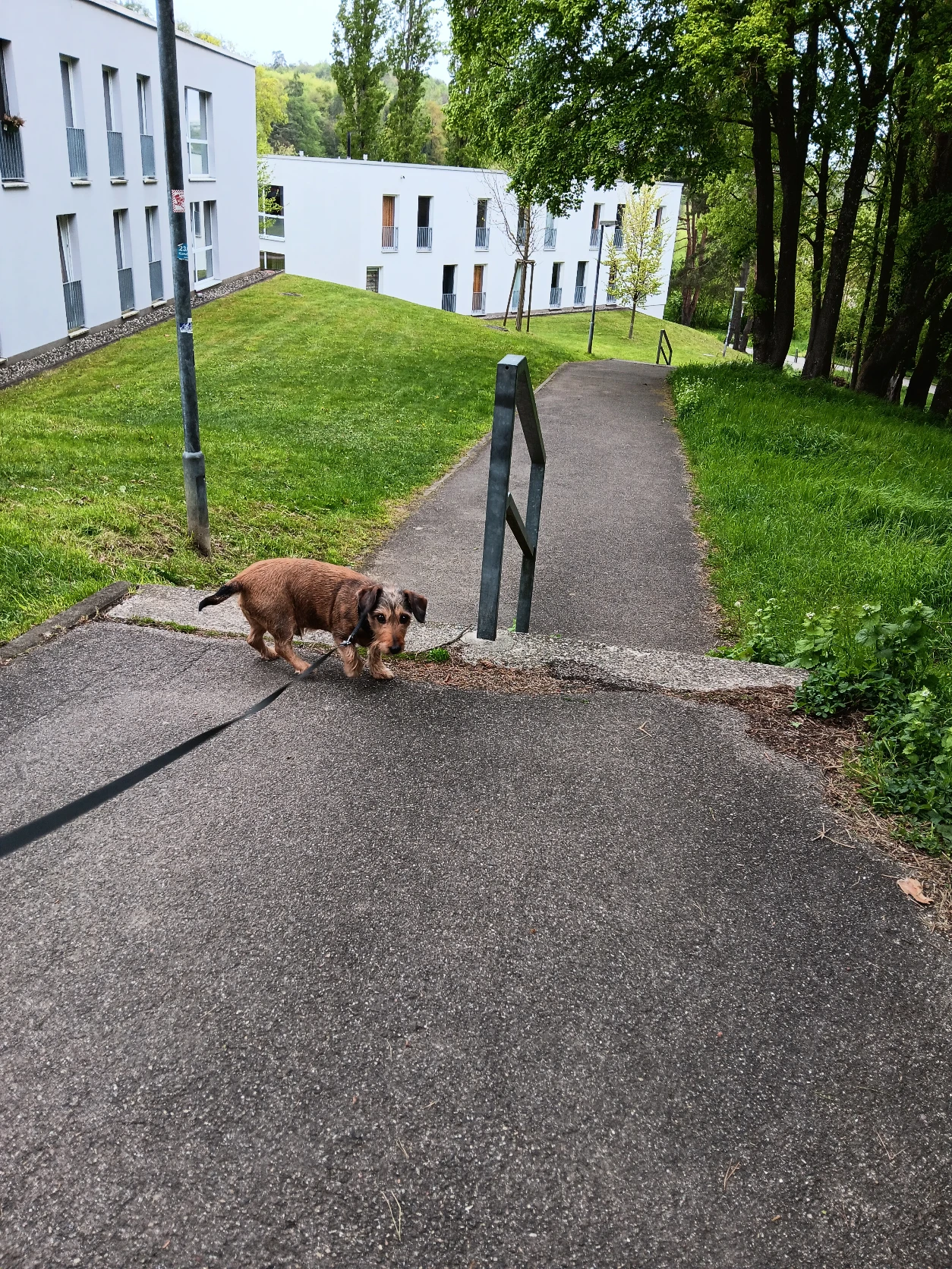image-8