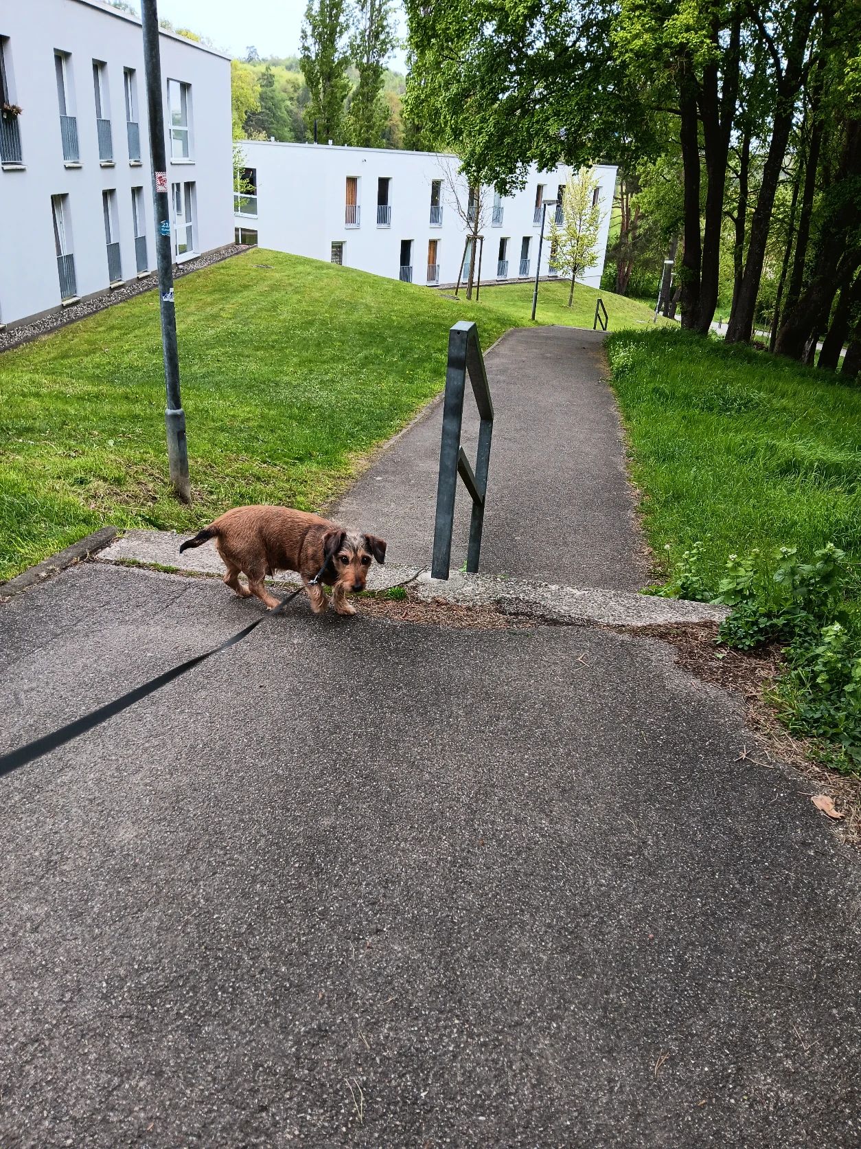 image-8