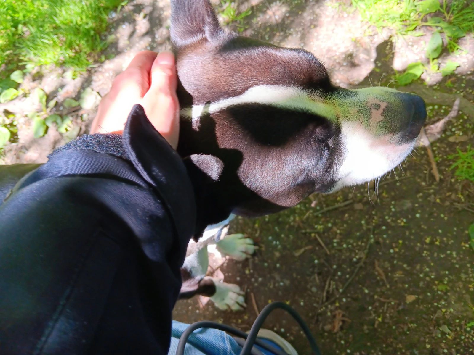 image-5