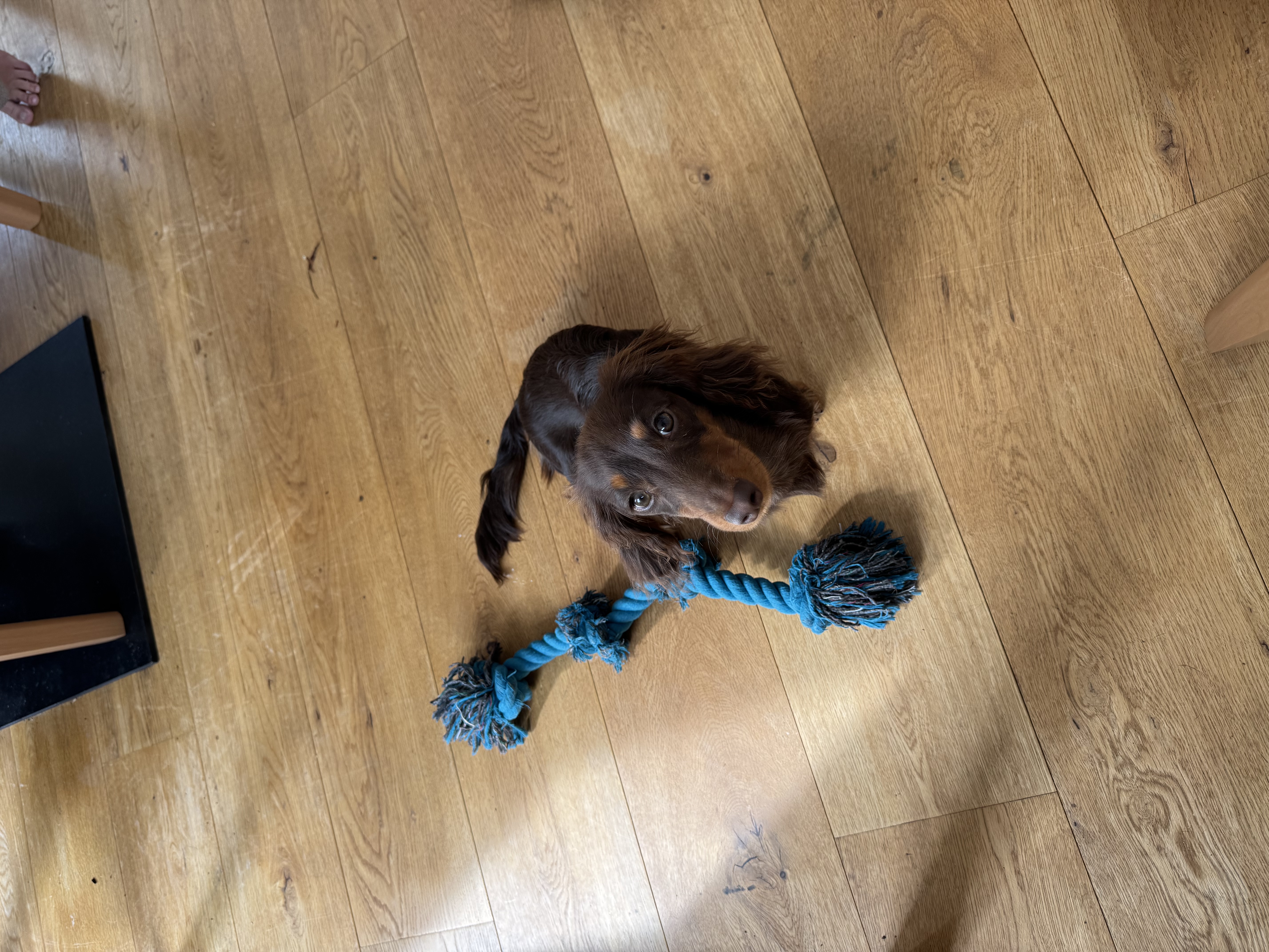 image-8