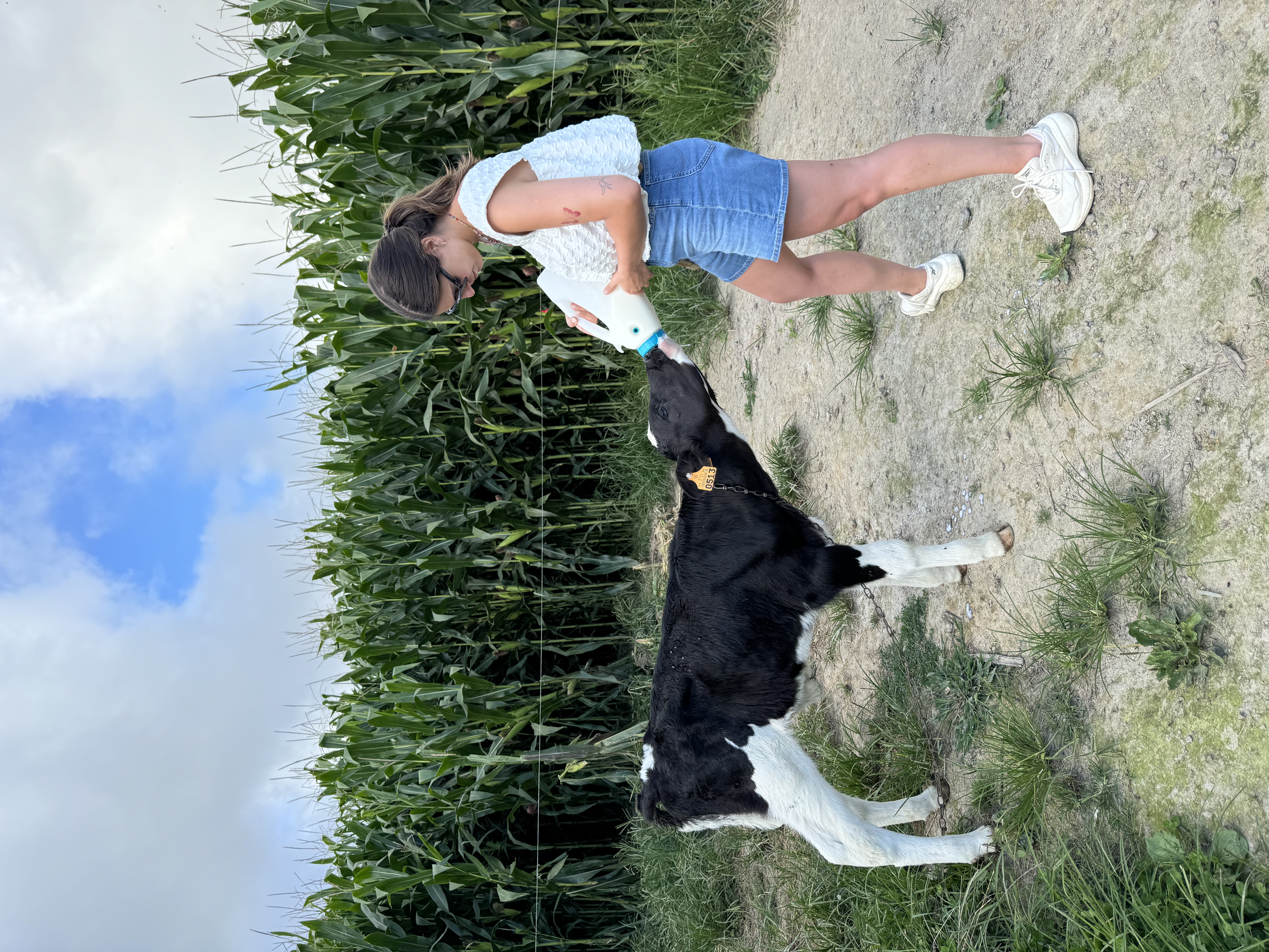image-11