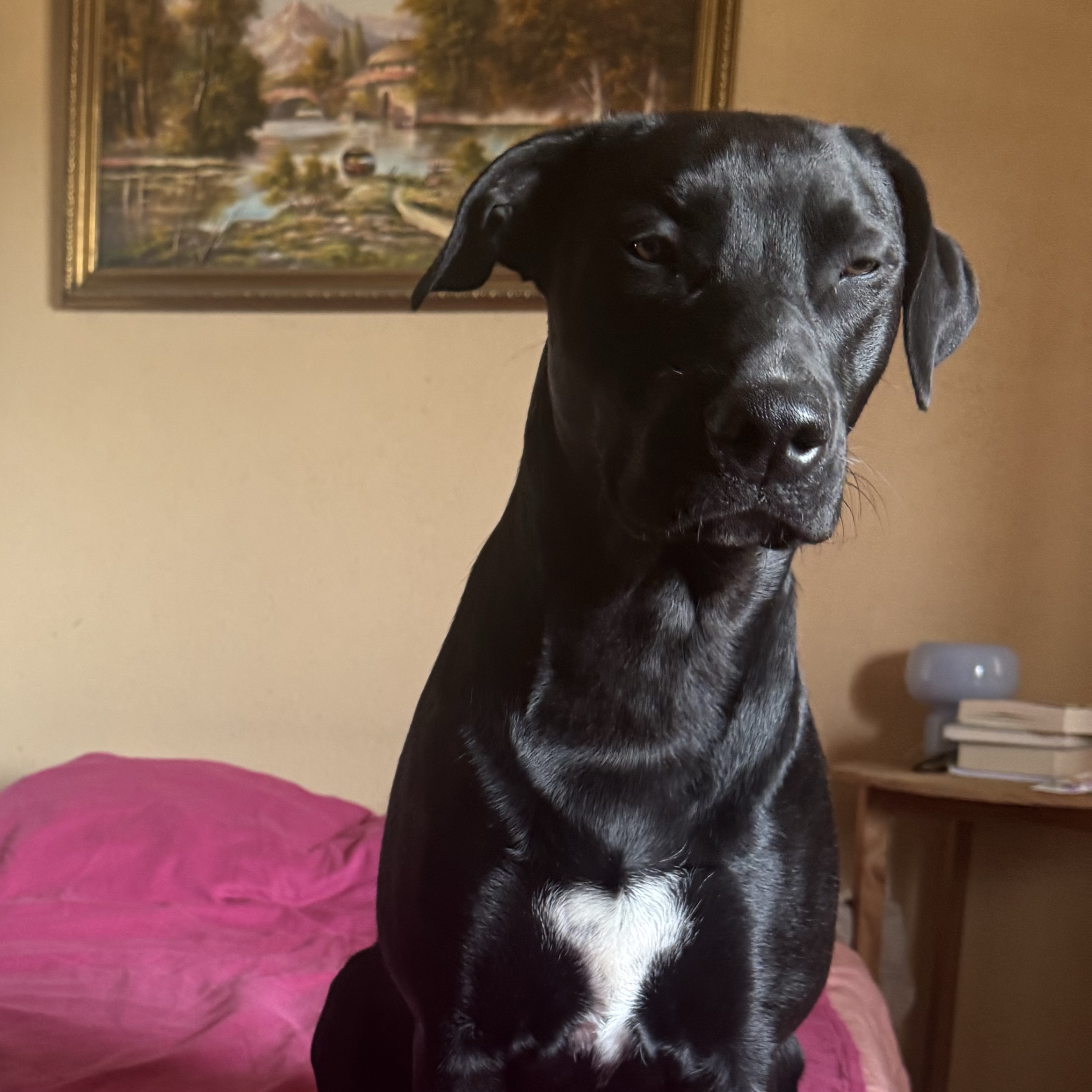 Nina