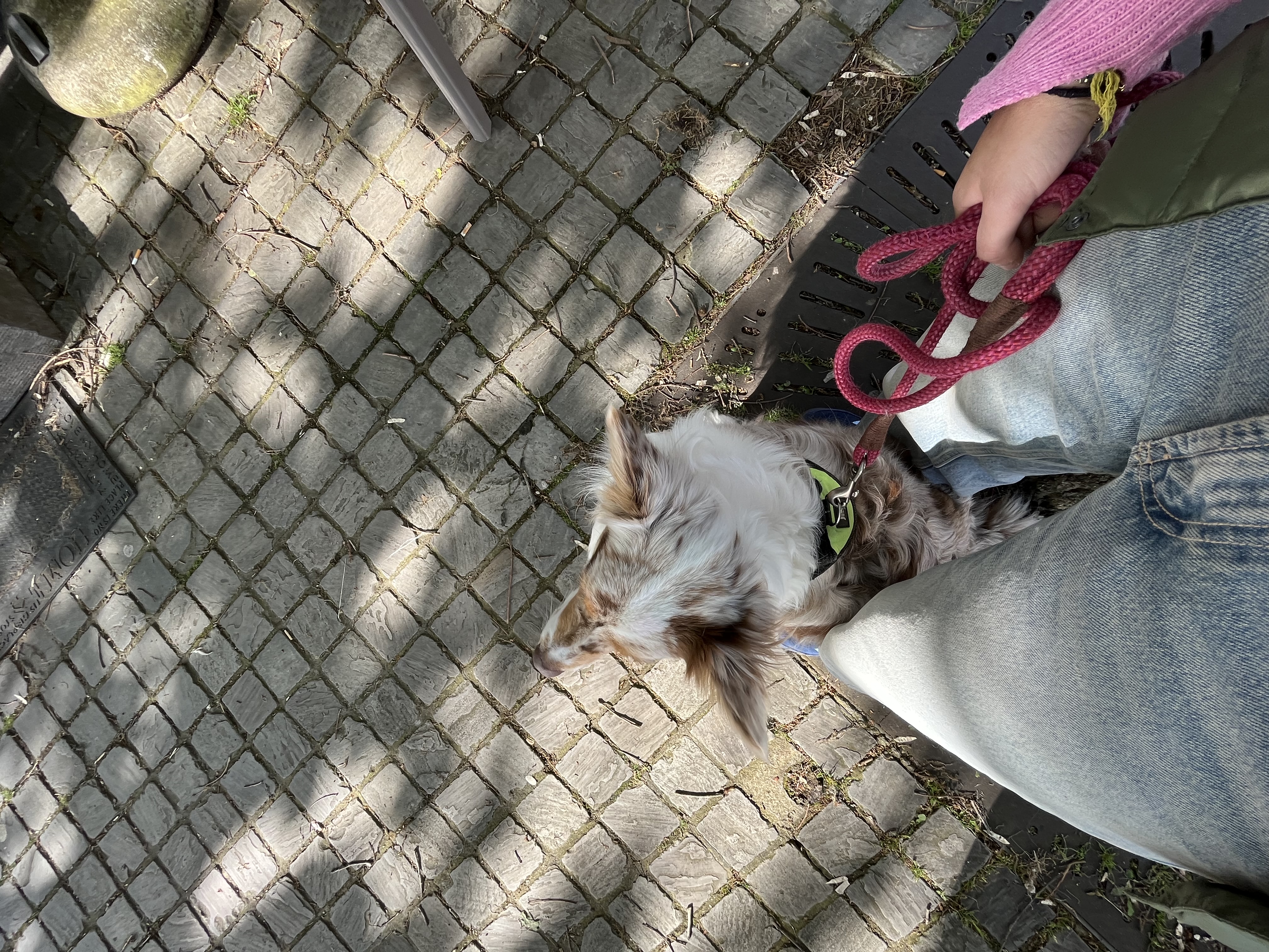 image-12