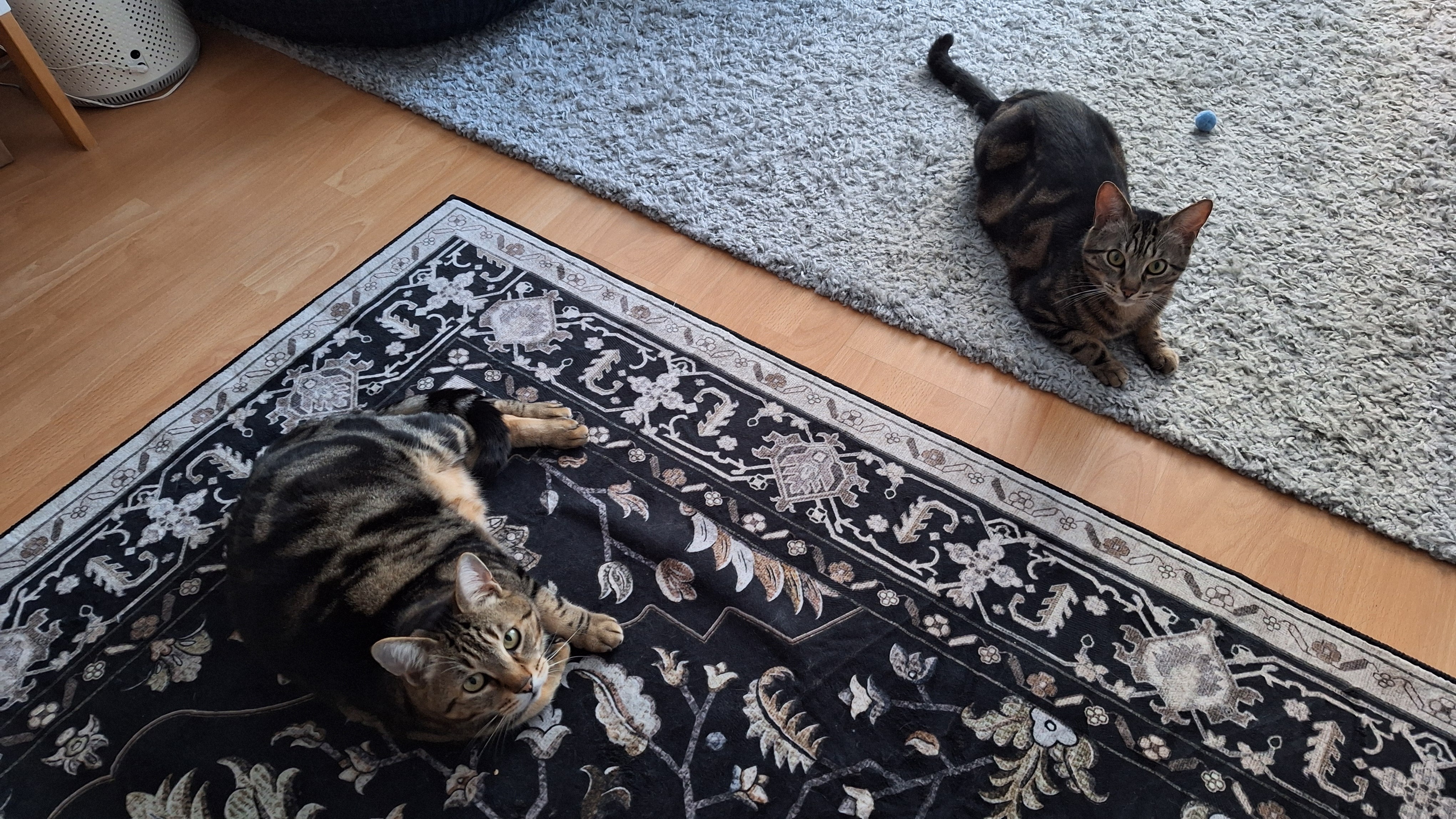 image-0