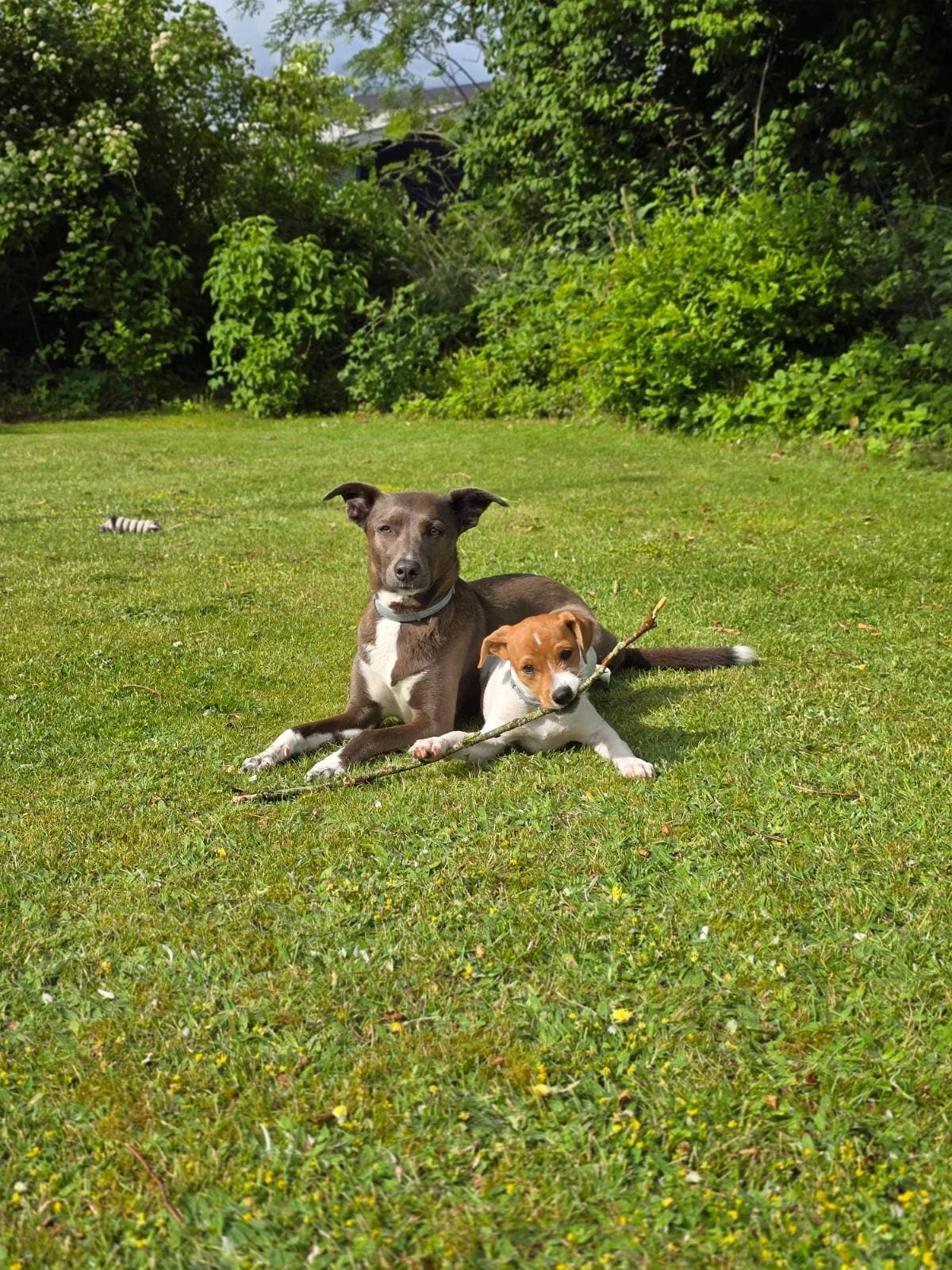 image-5
