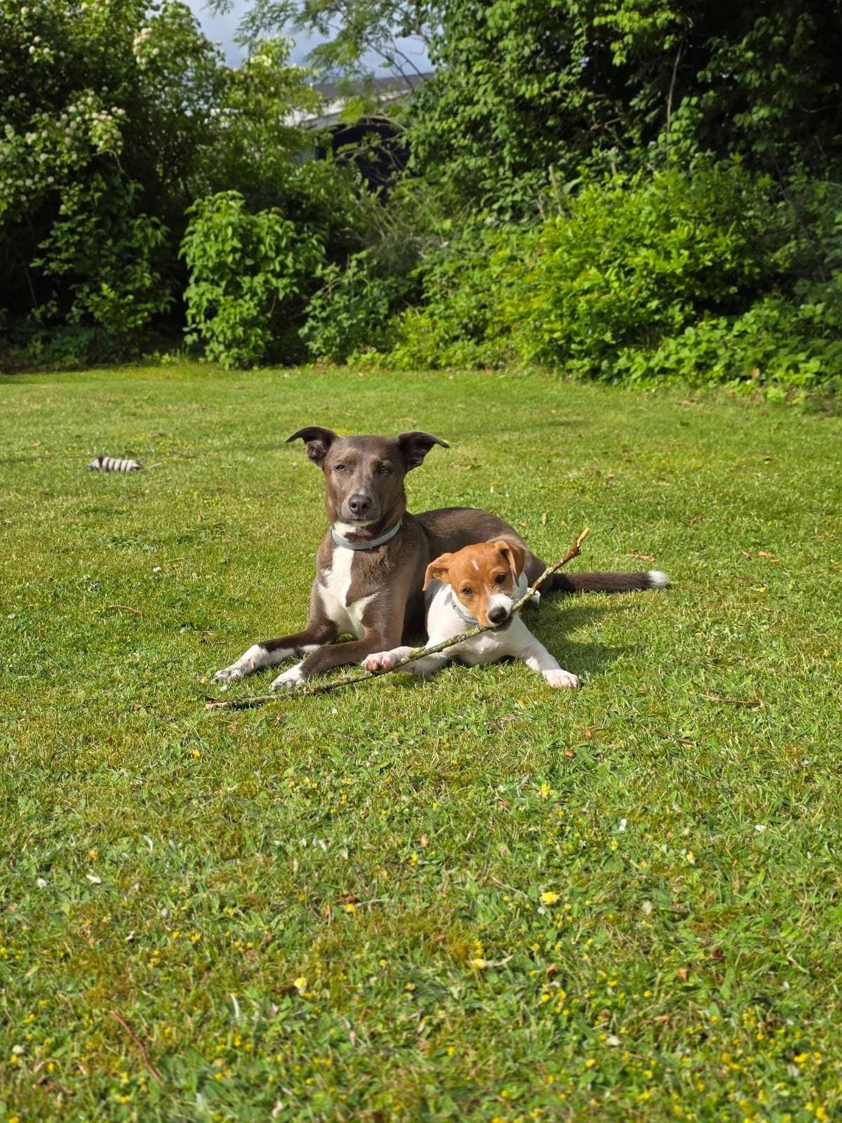 image-5