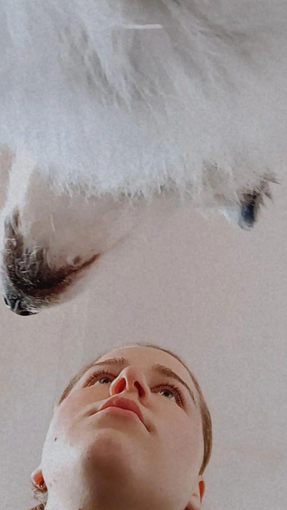 image-0
