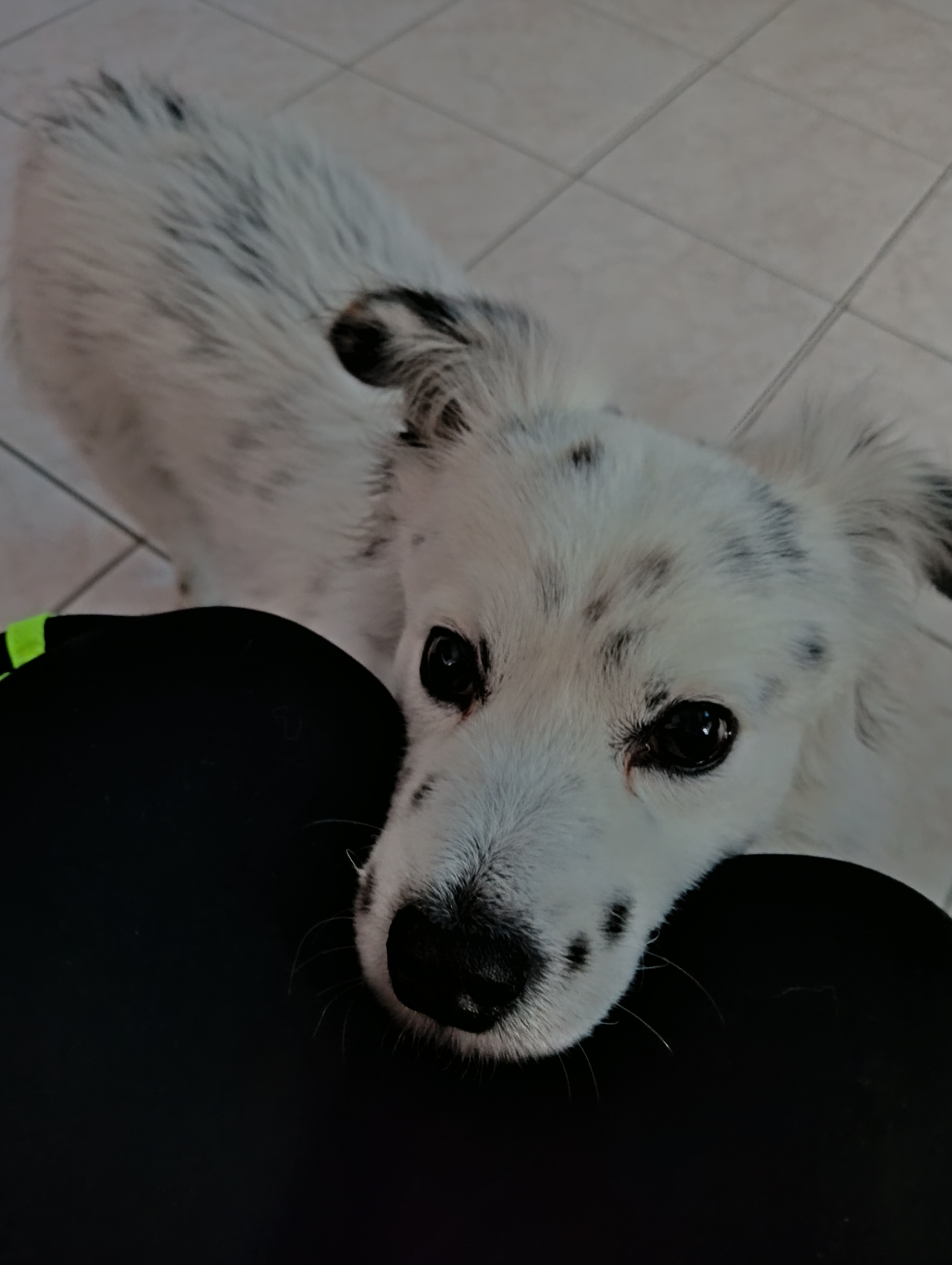 image-8