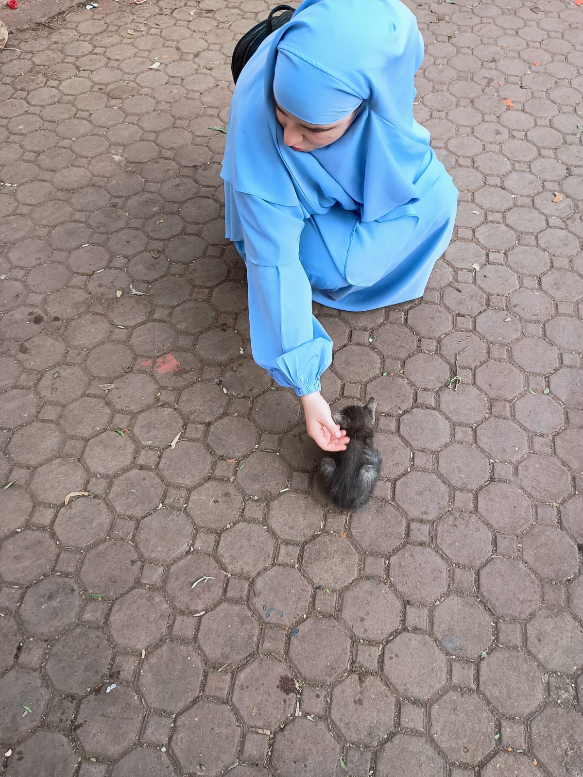 image-3