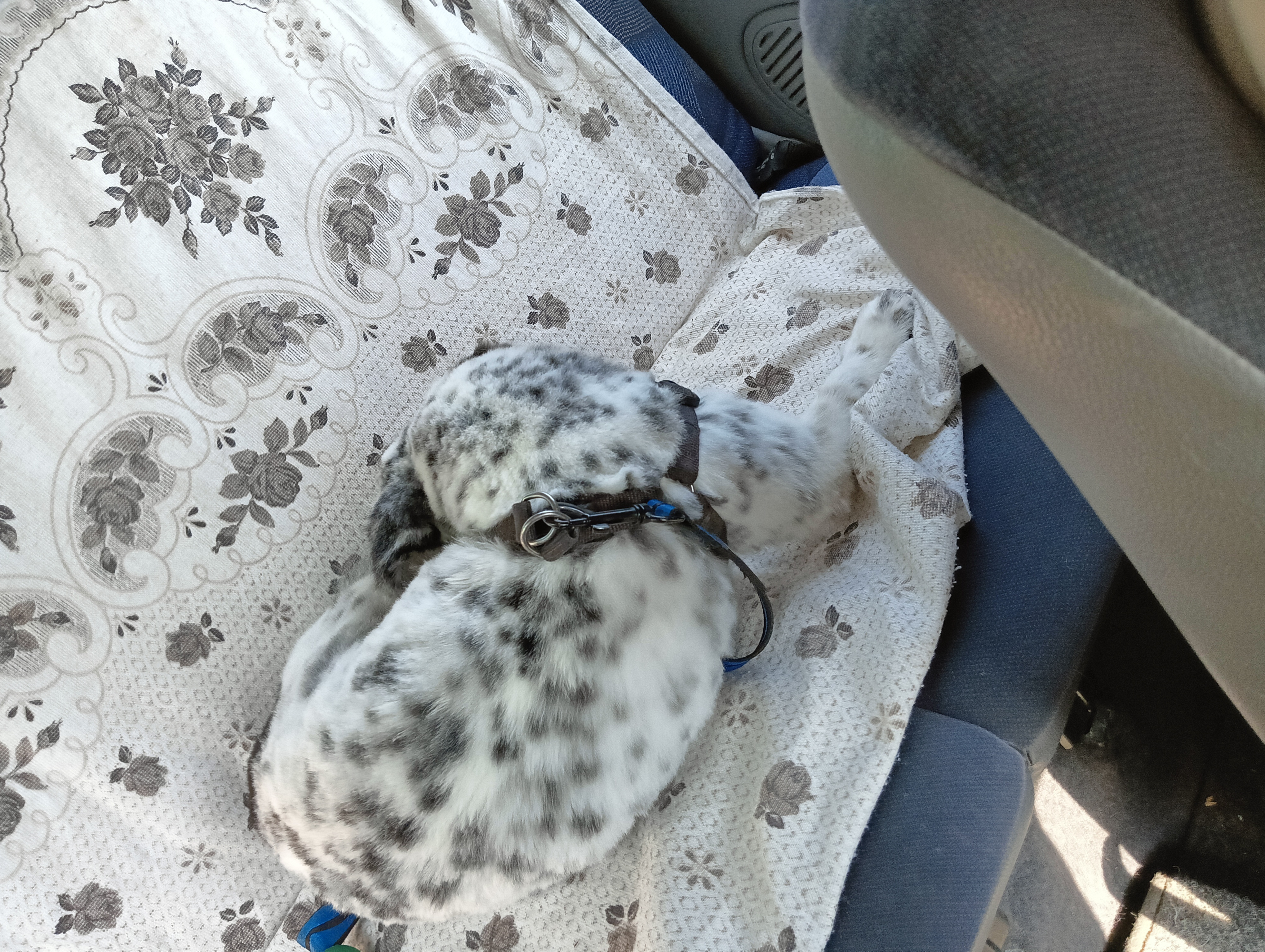 image-5