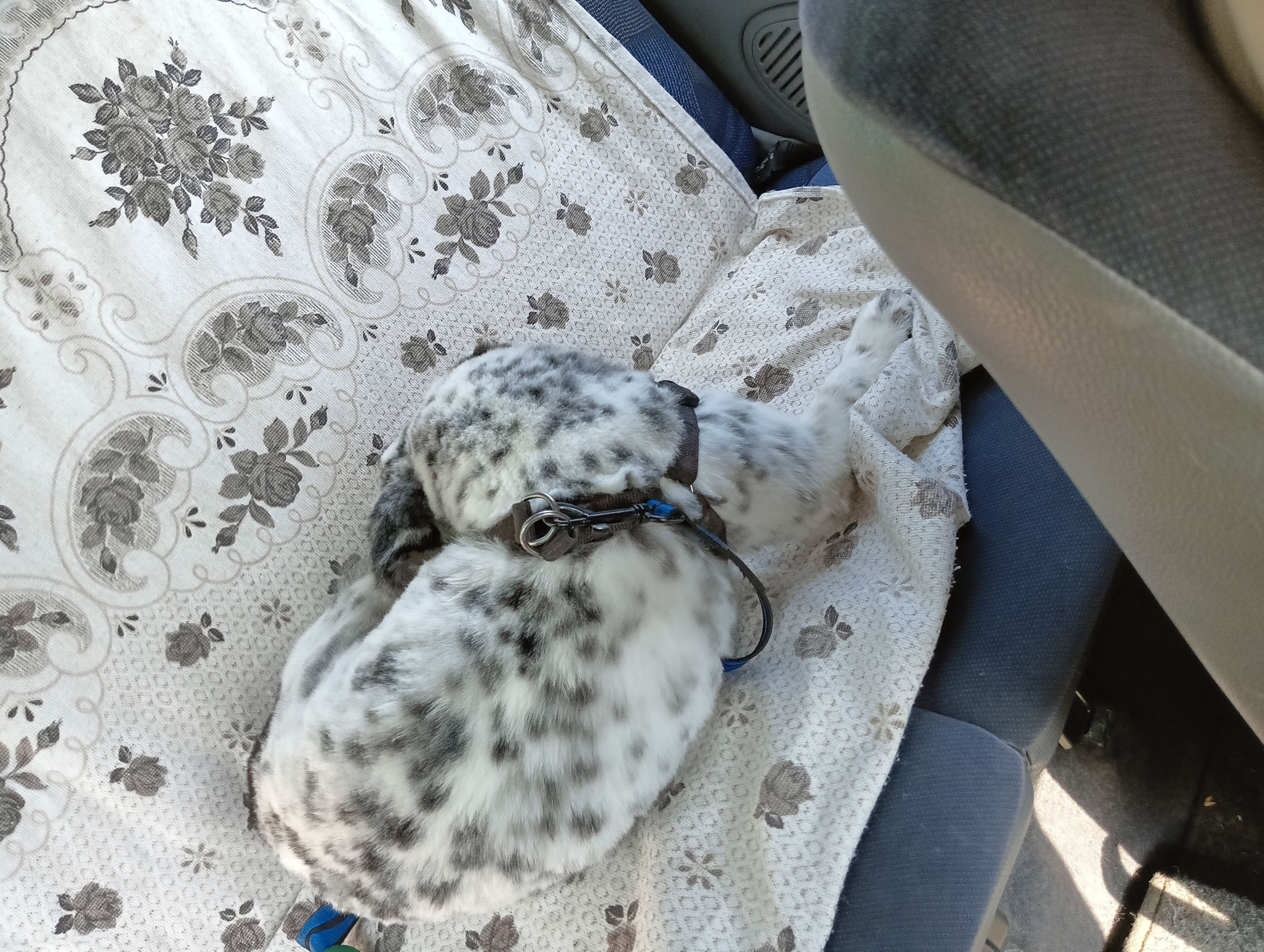 image-5
