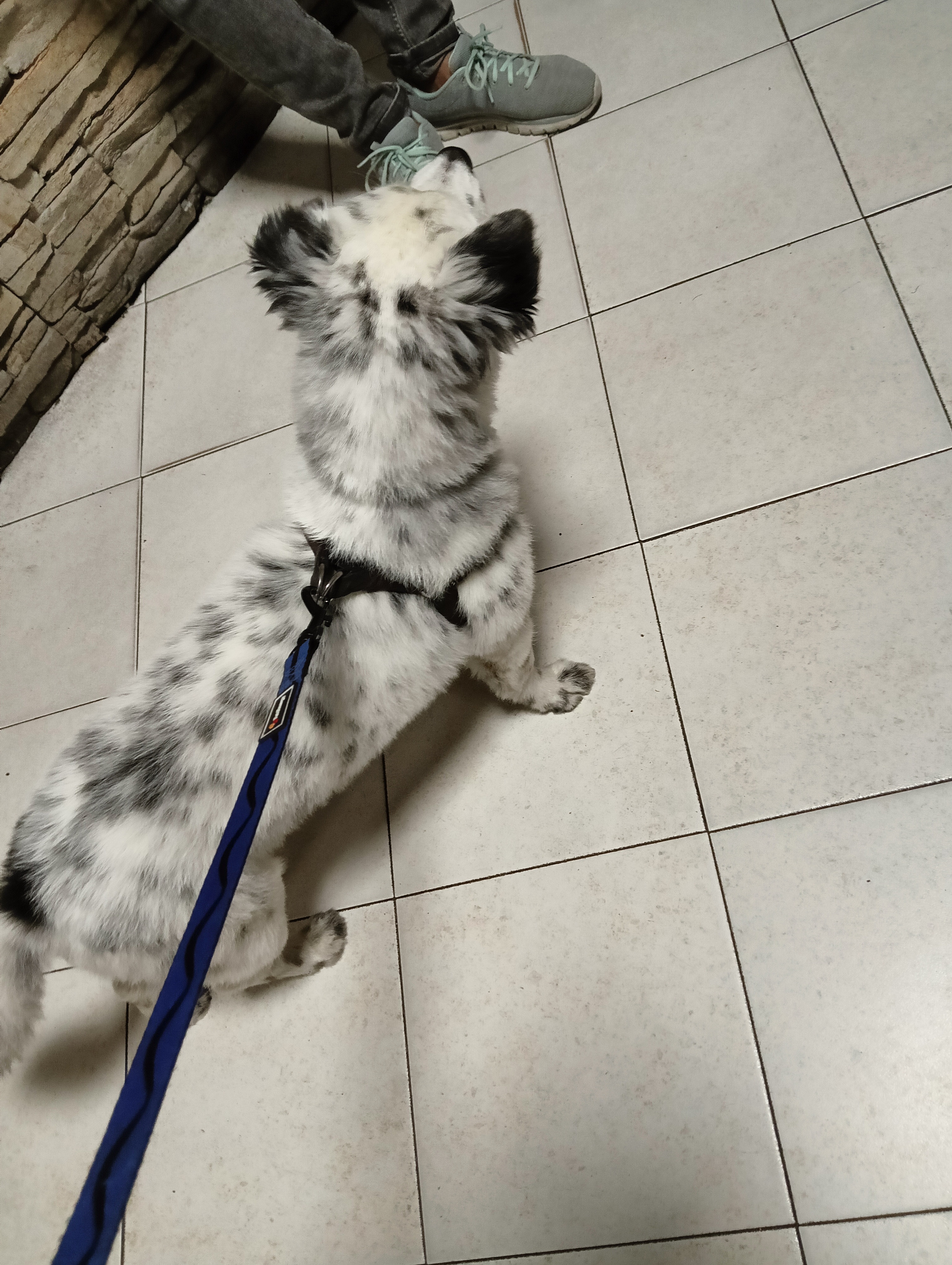 image-6
