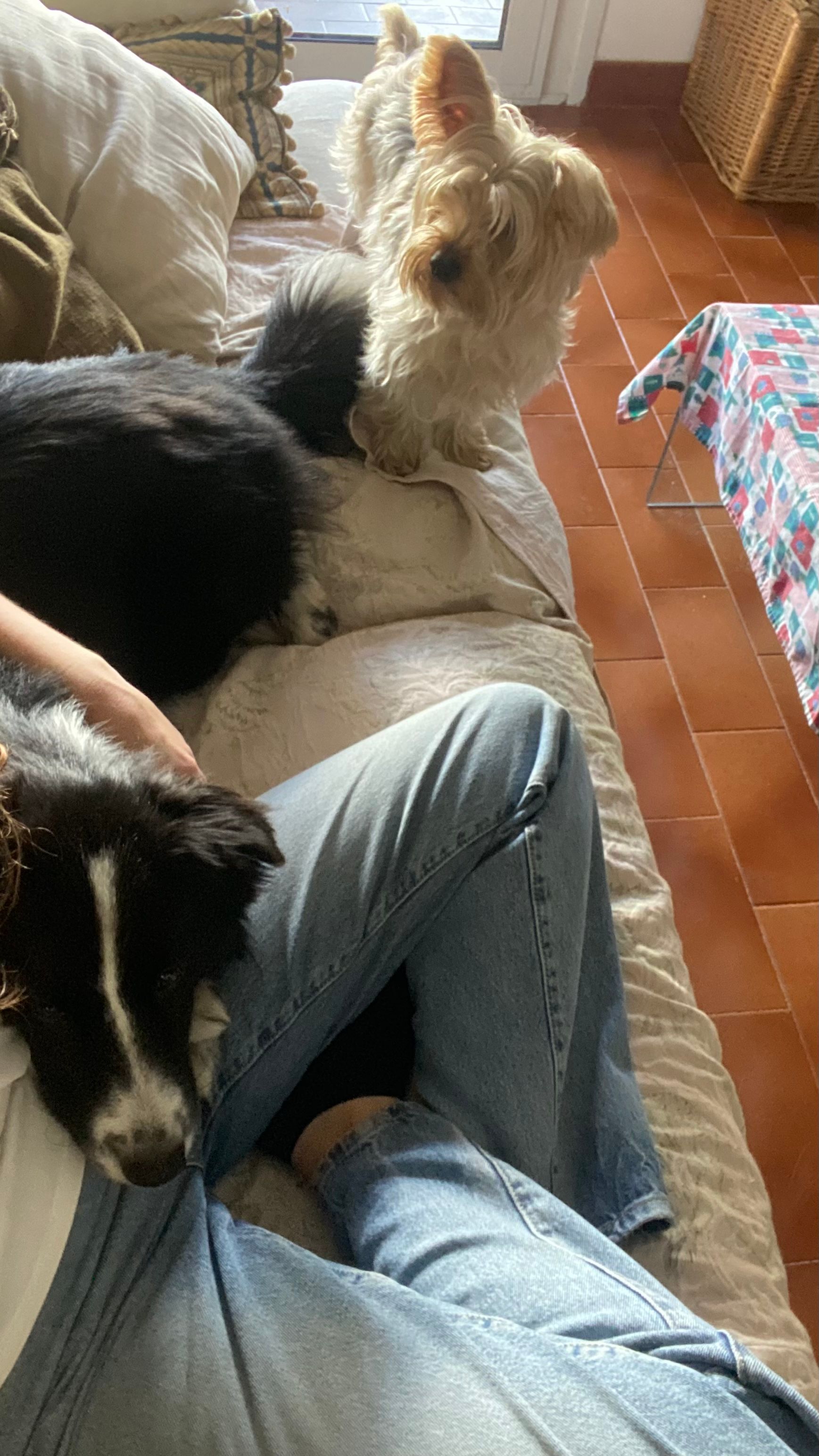 image-7