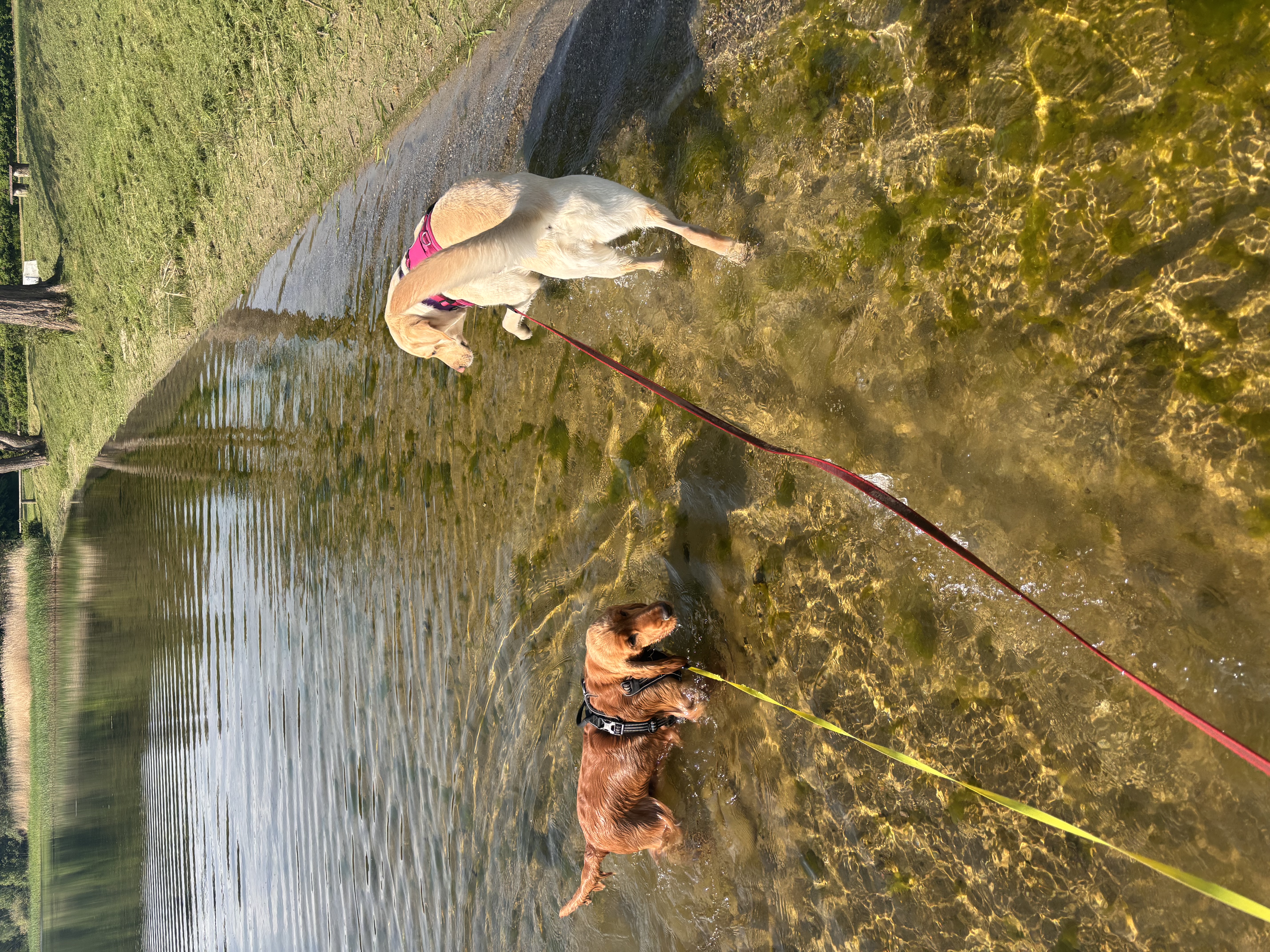image-8