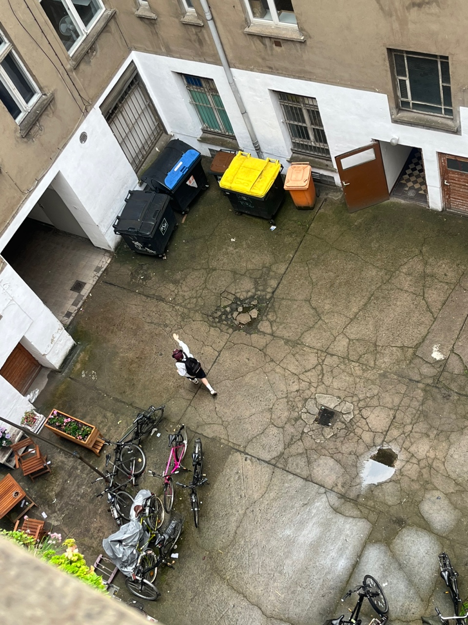 image-20
