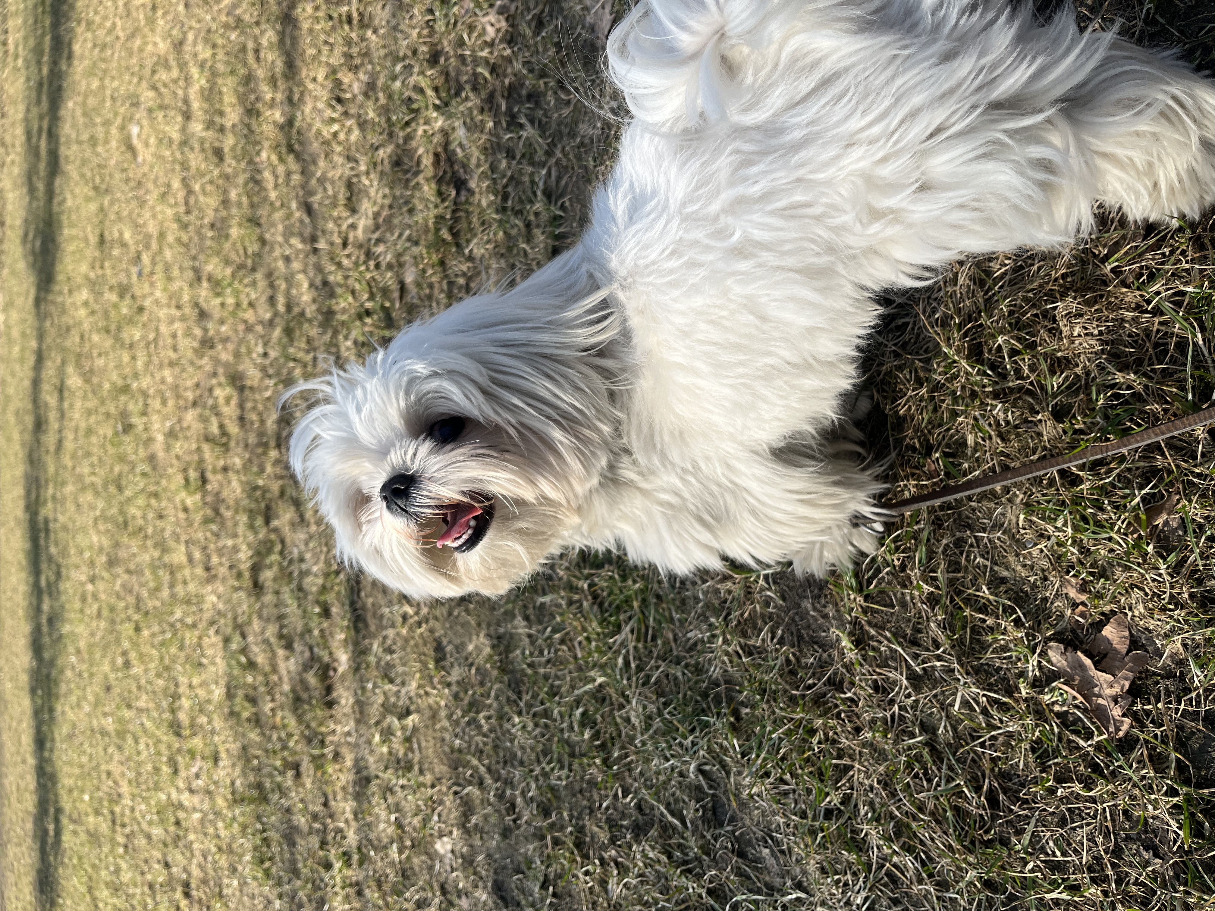 image-15