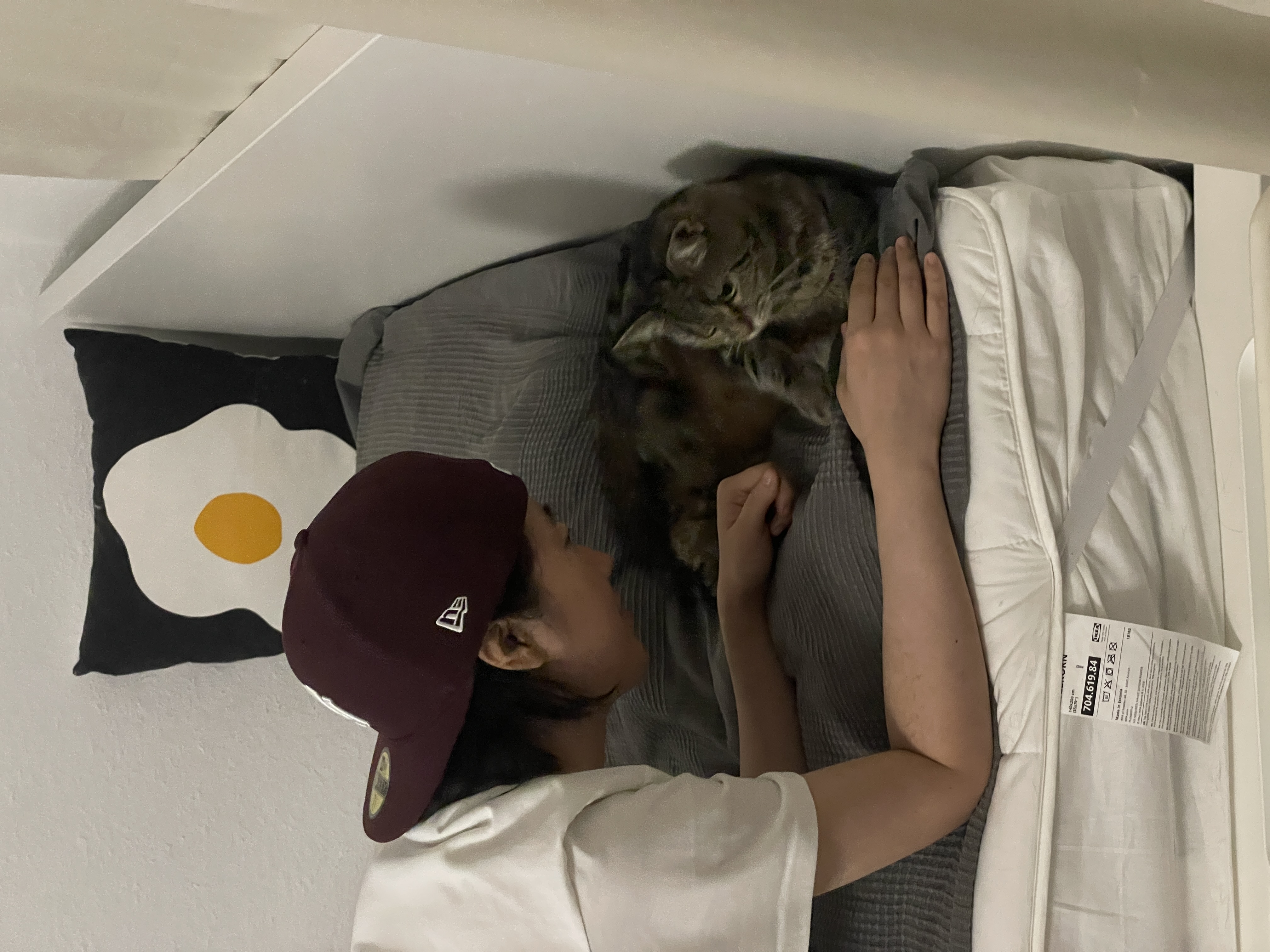 image-4