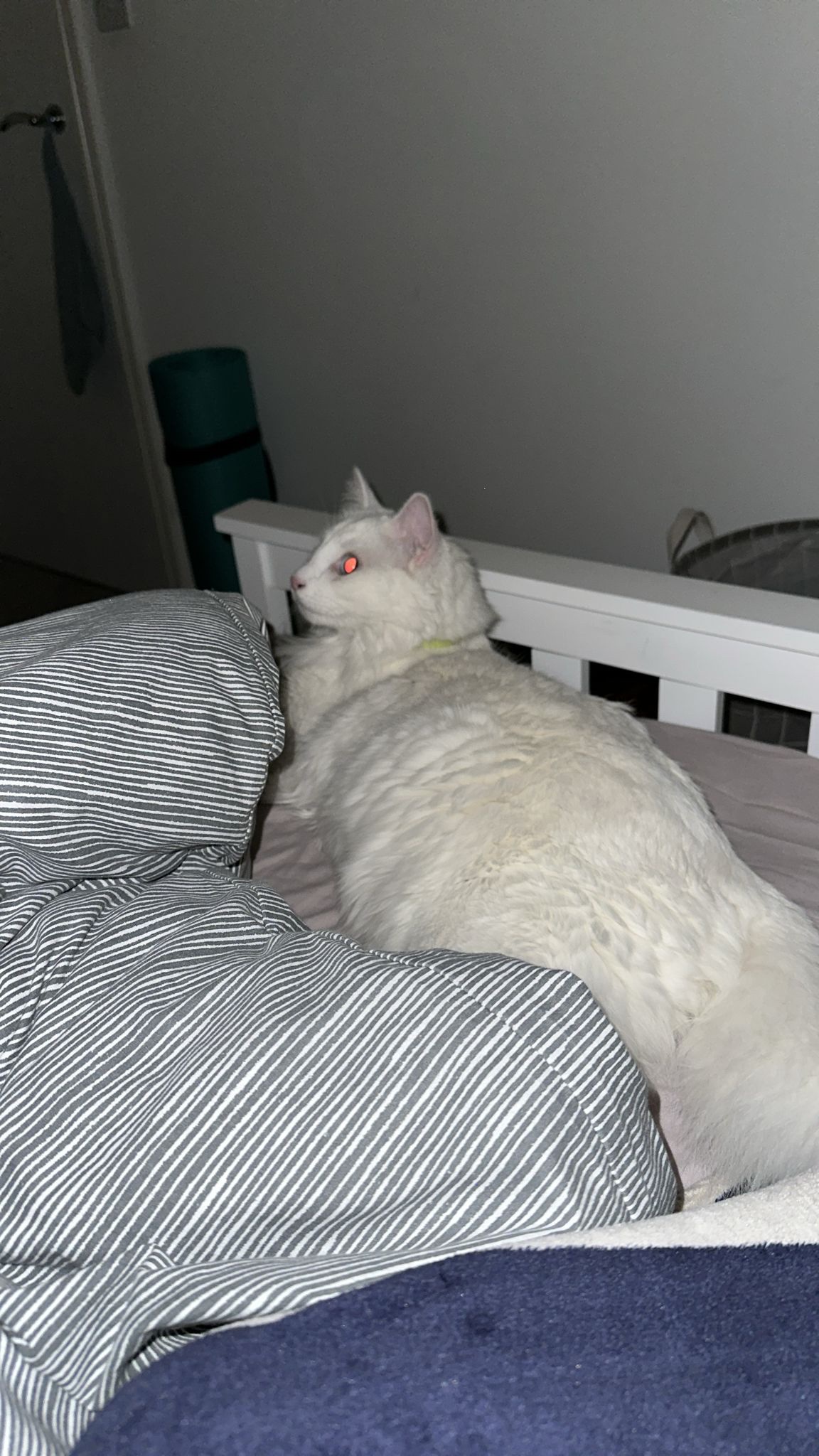 image-14