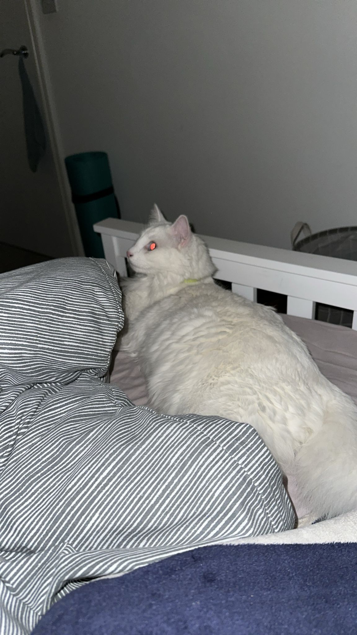 image-14