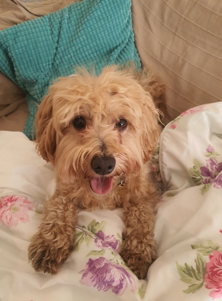 image-14