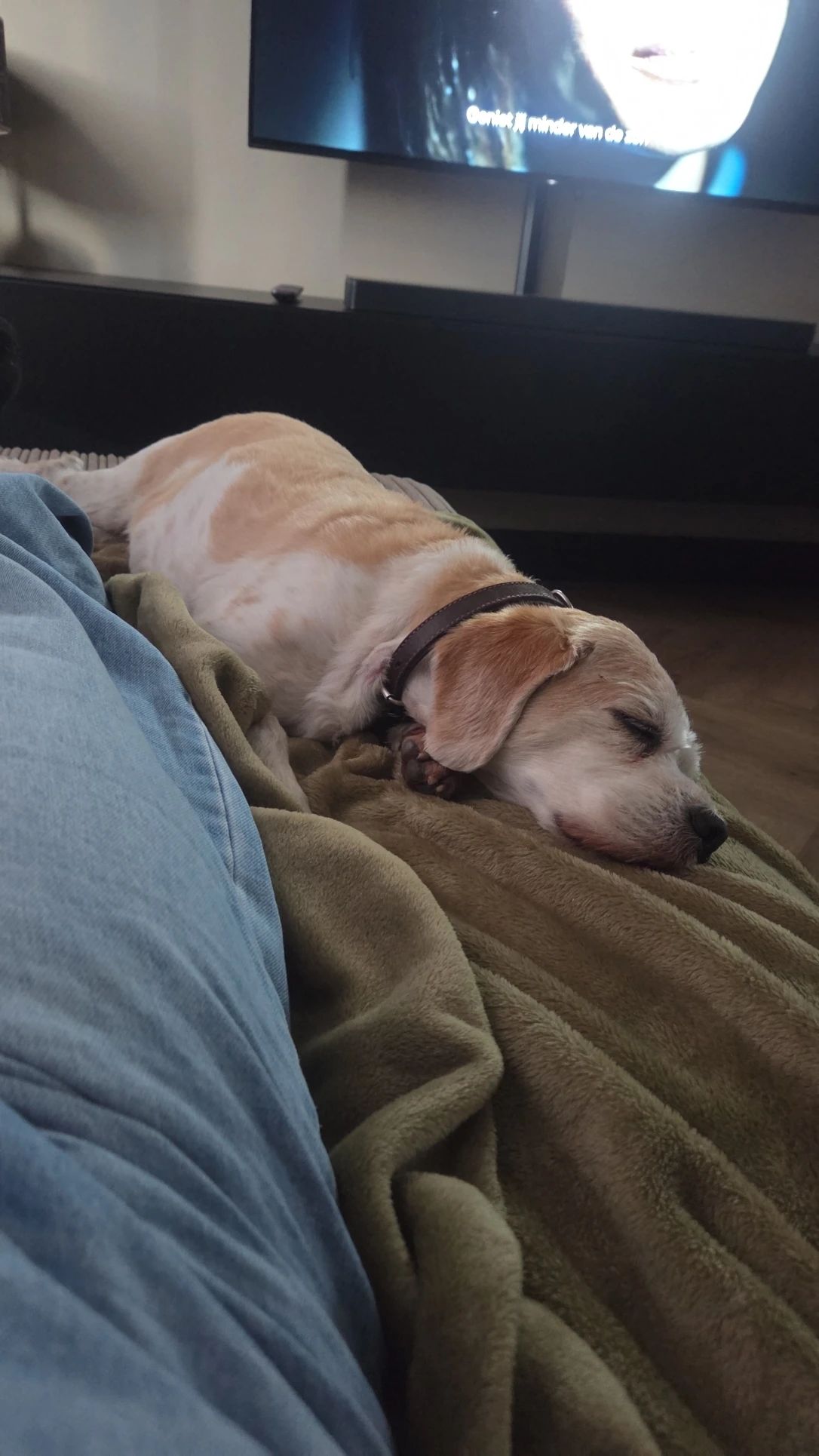 image-23