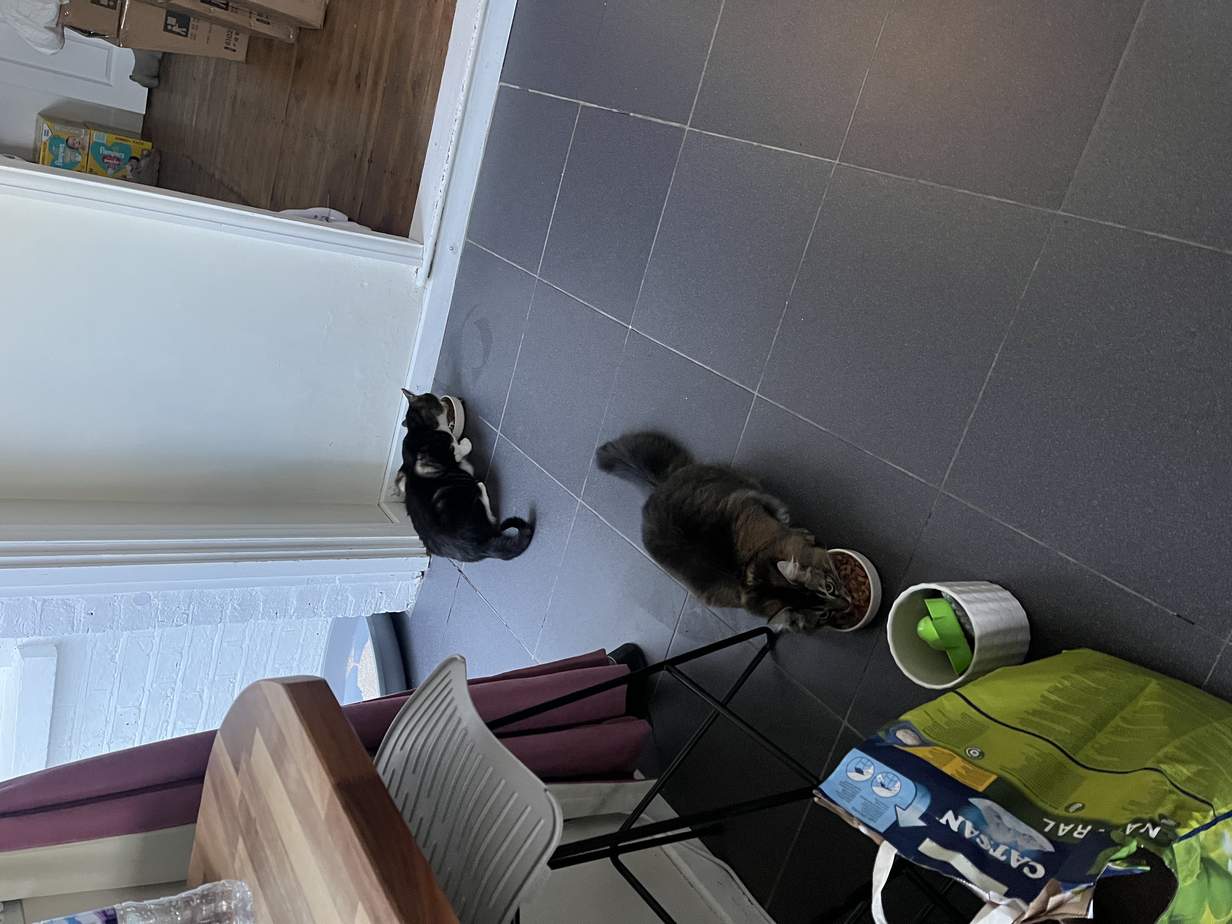 image-12