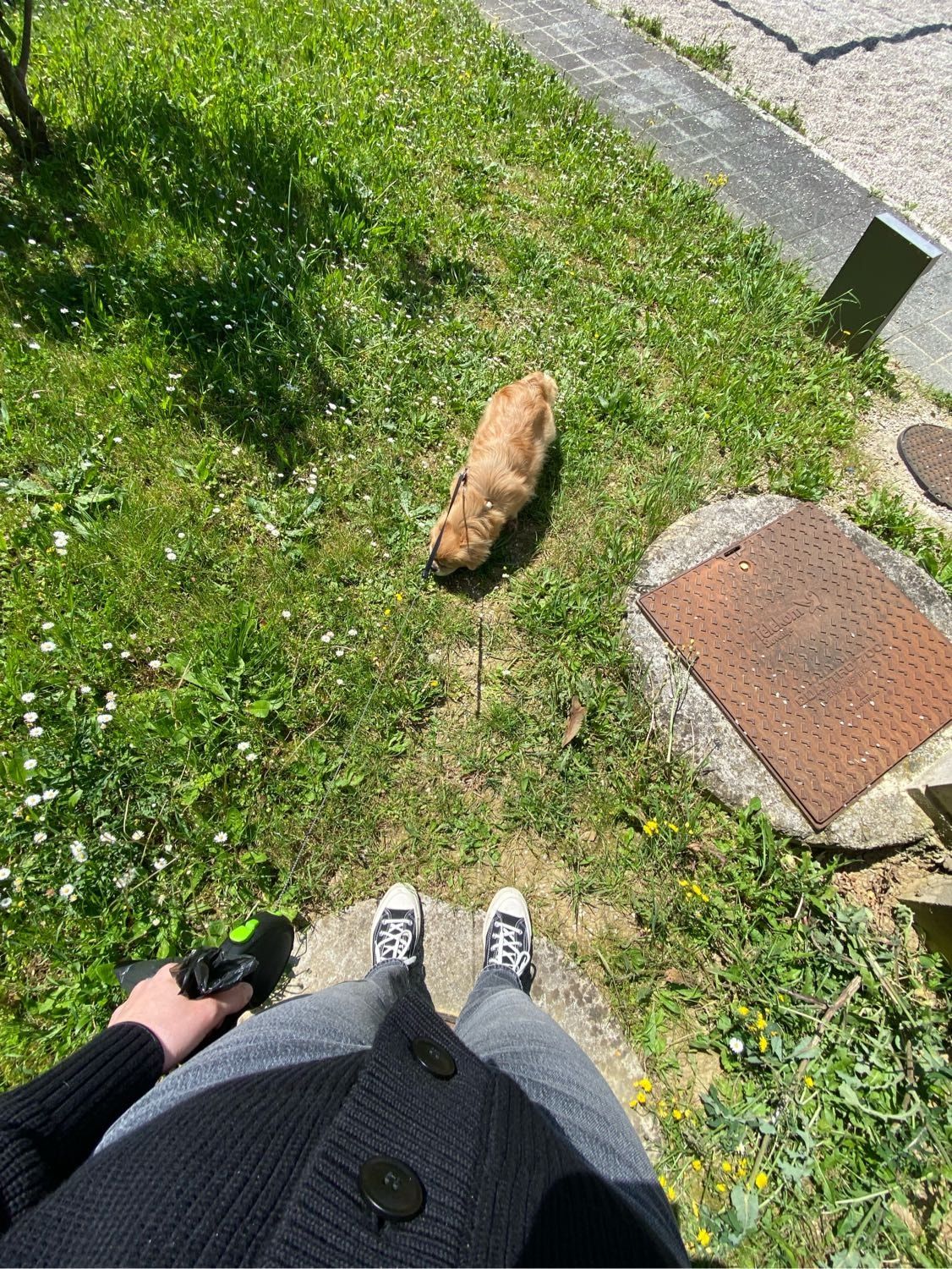image-9