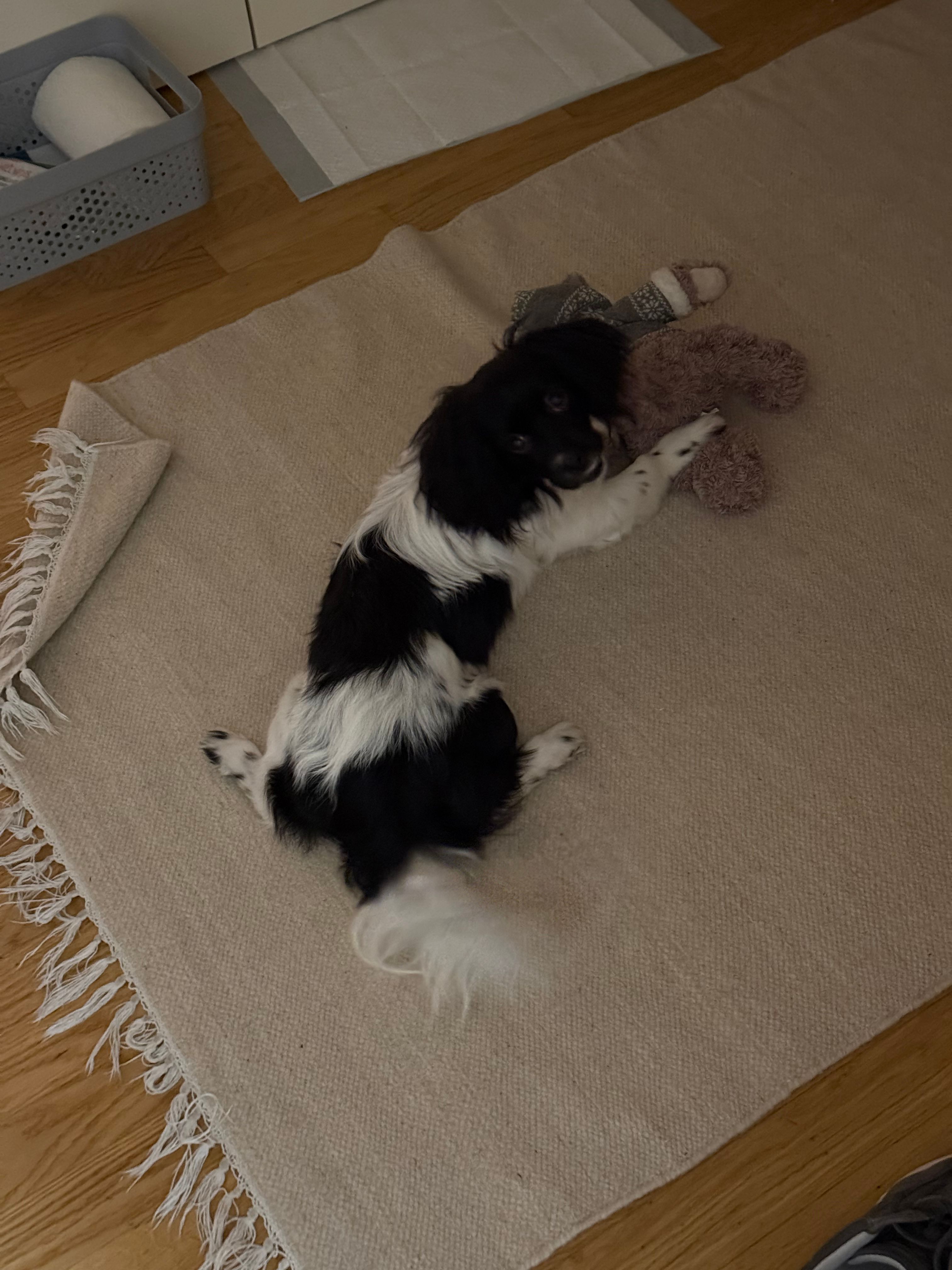 image-11