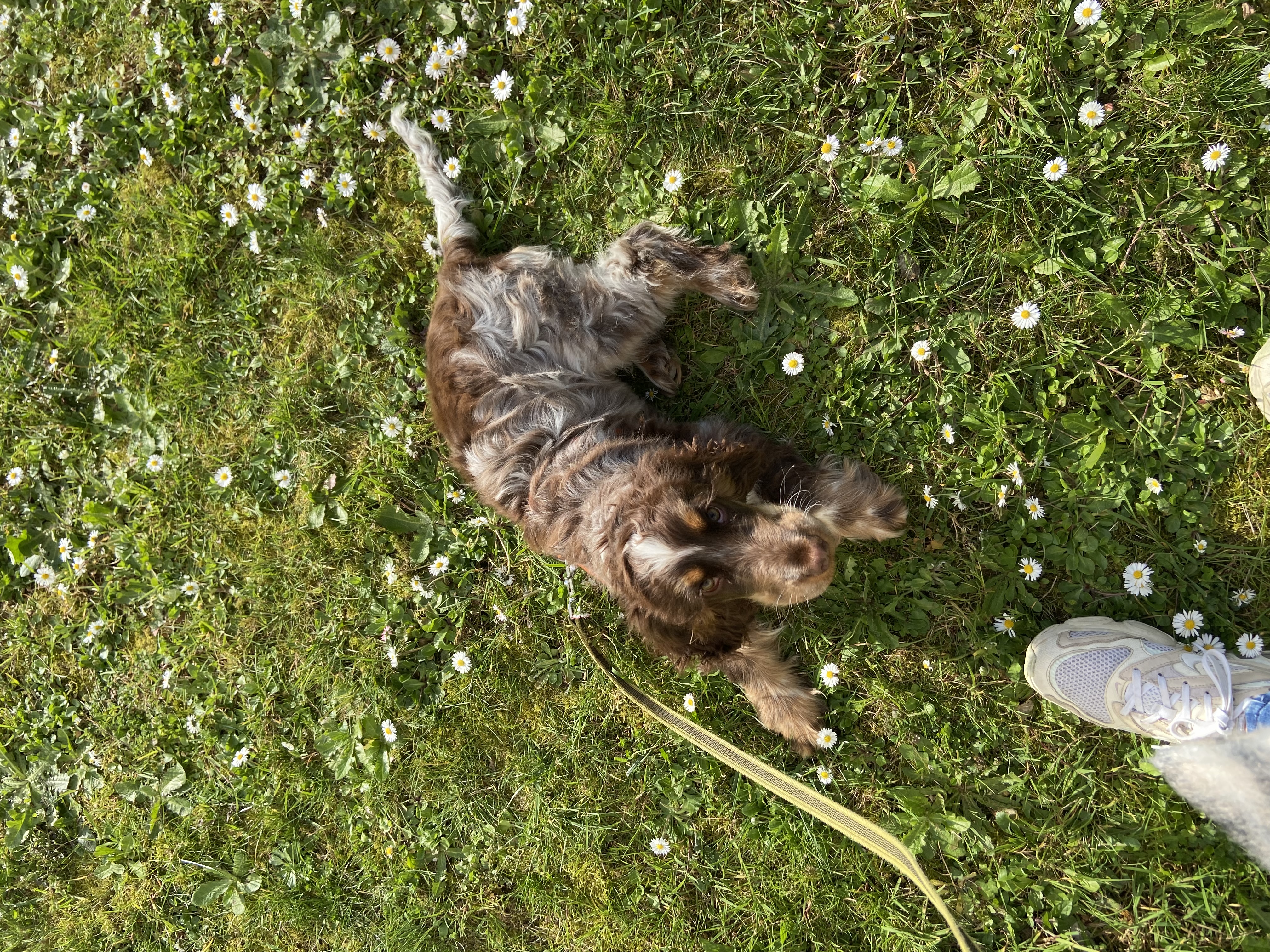 image-7