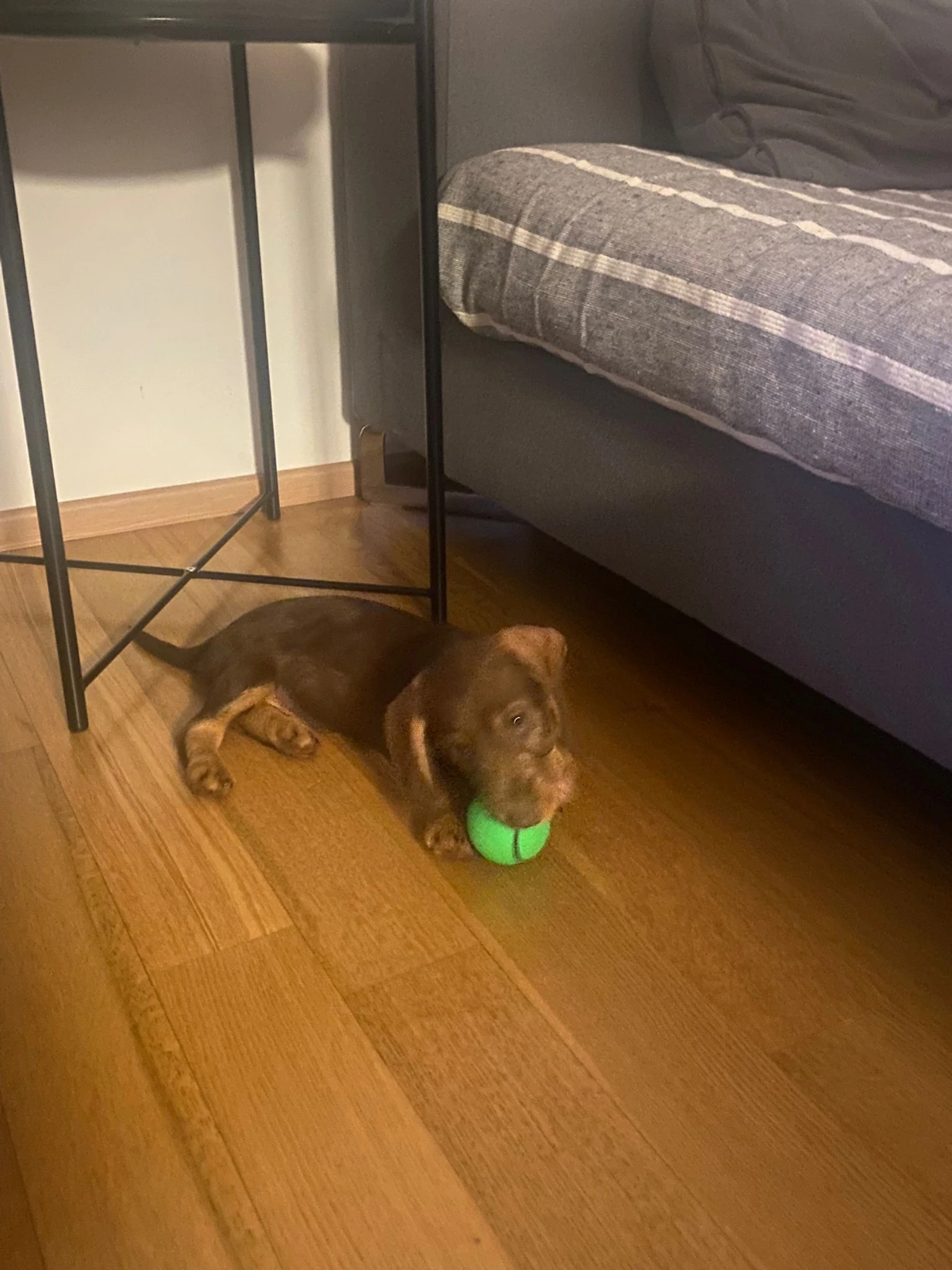 image-10