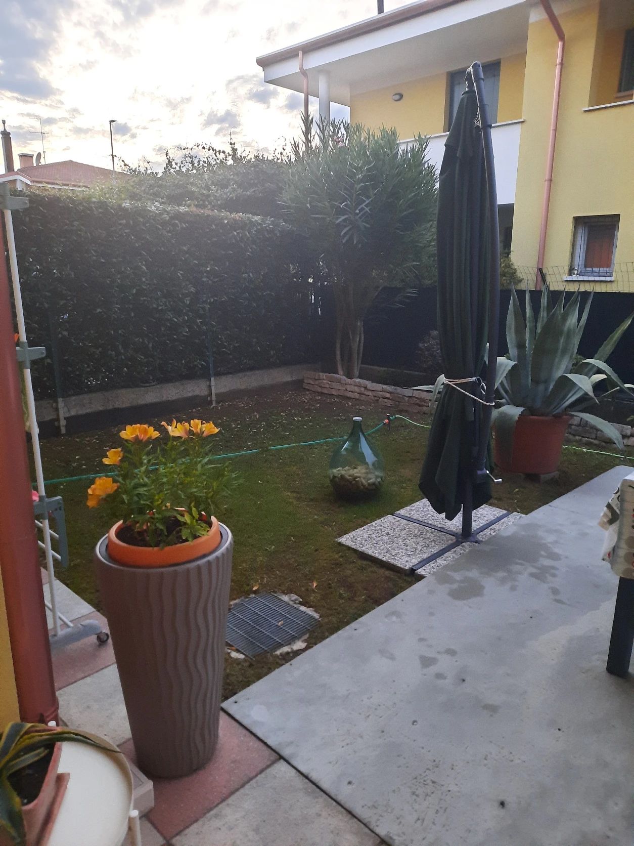 image-17