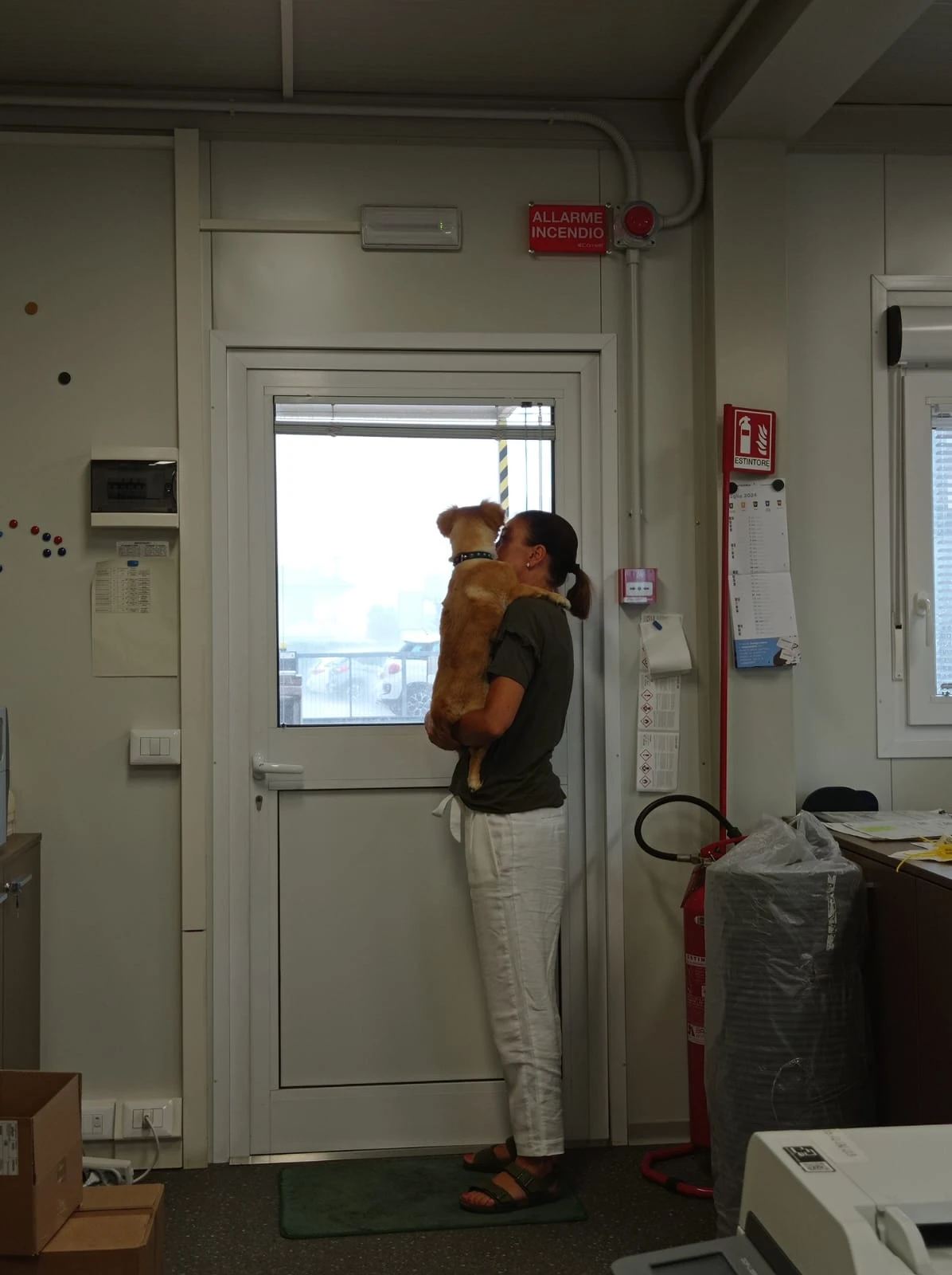 image-6