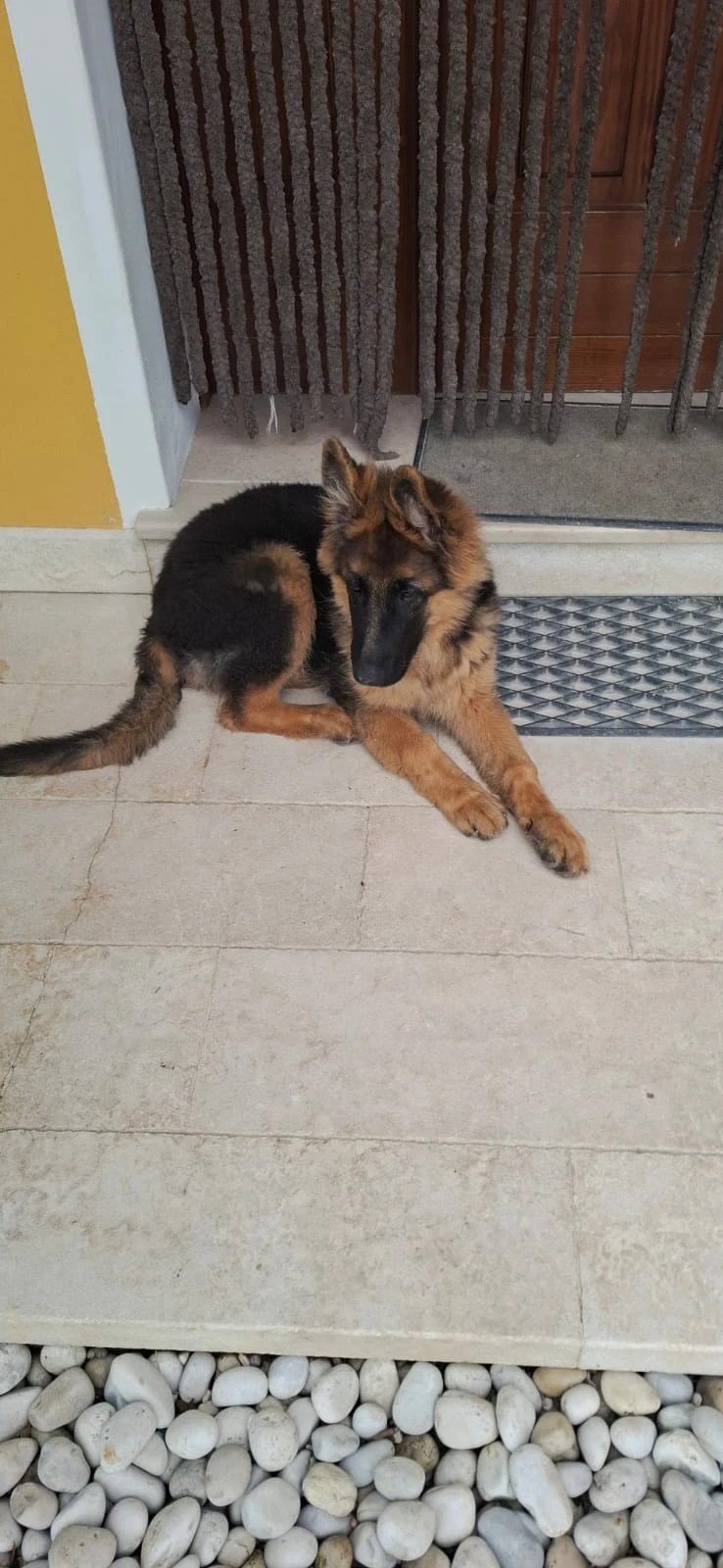 image-9