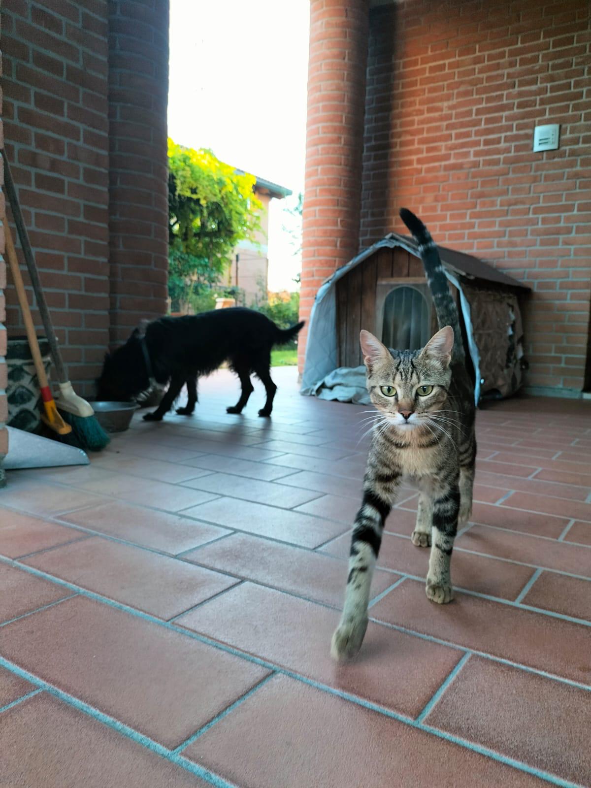 image-8