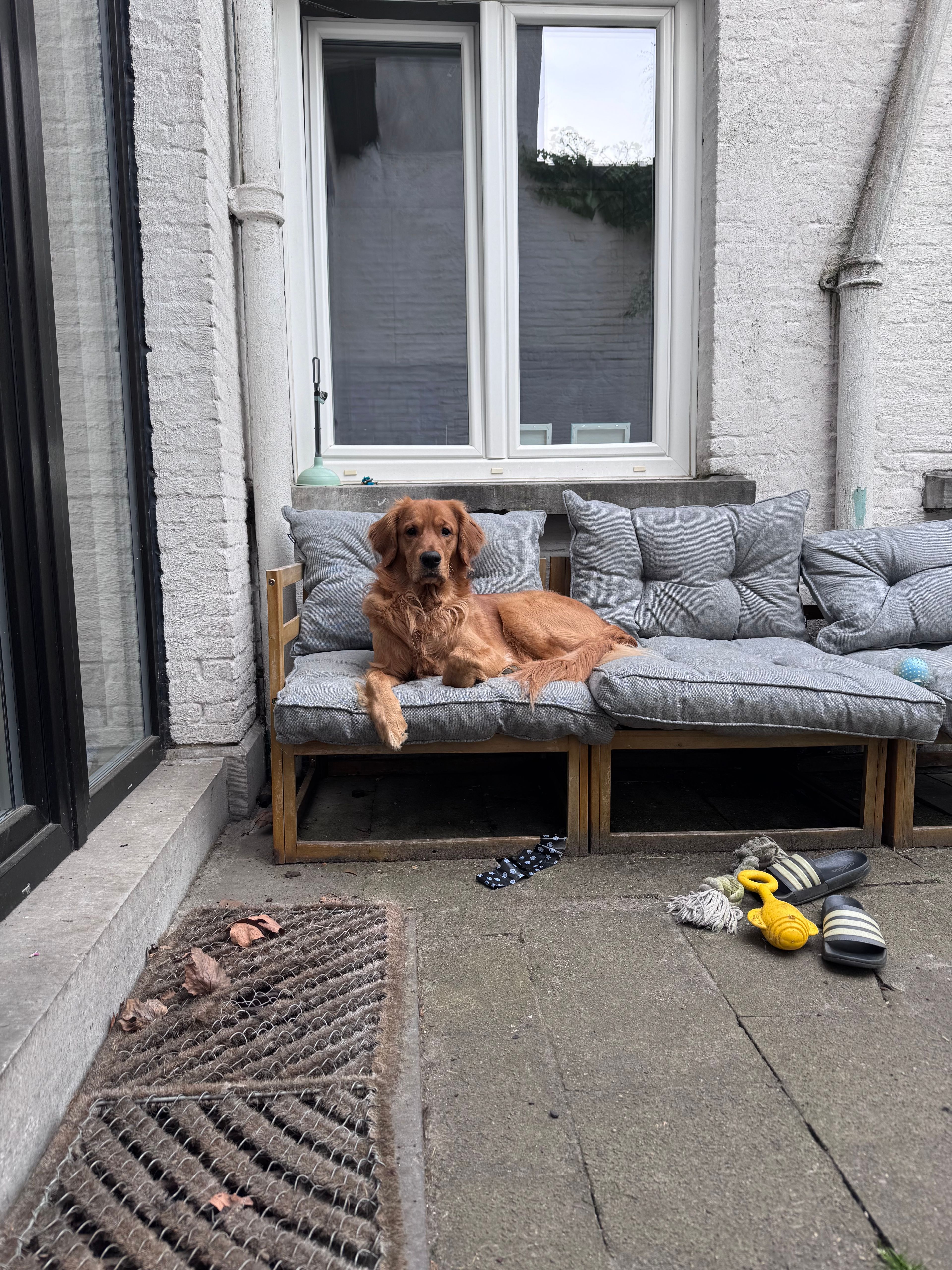 image-18