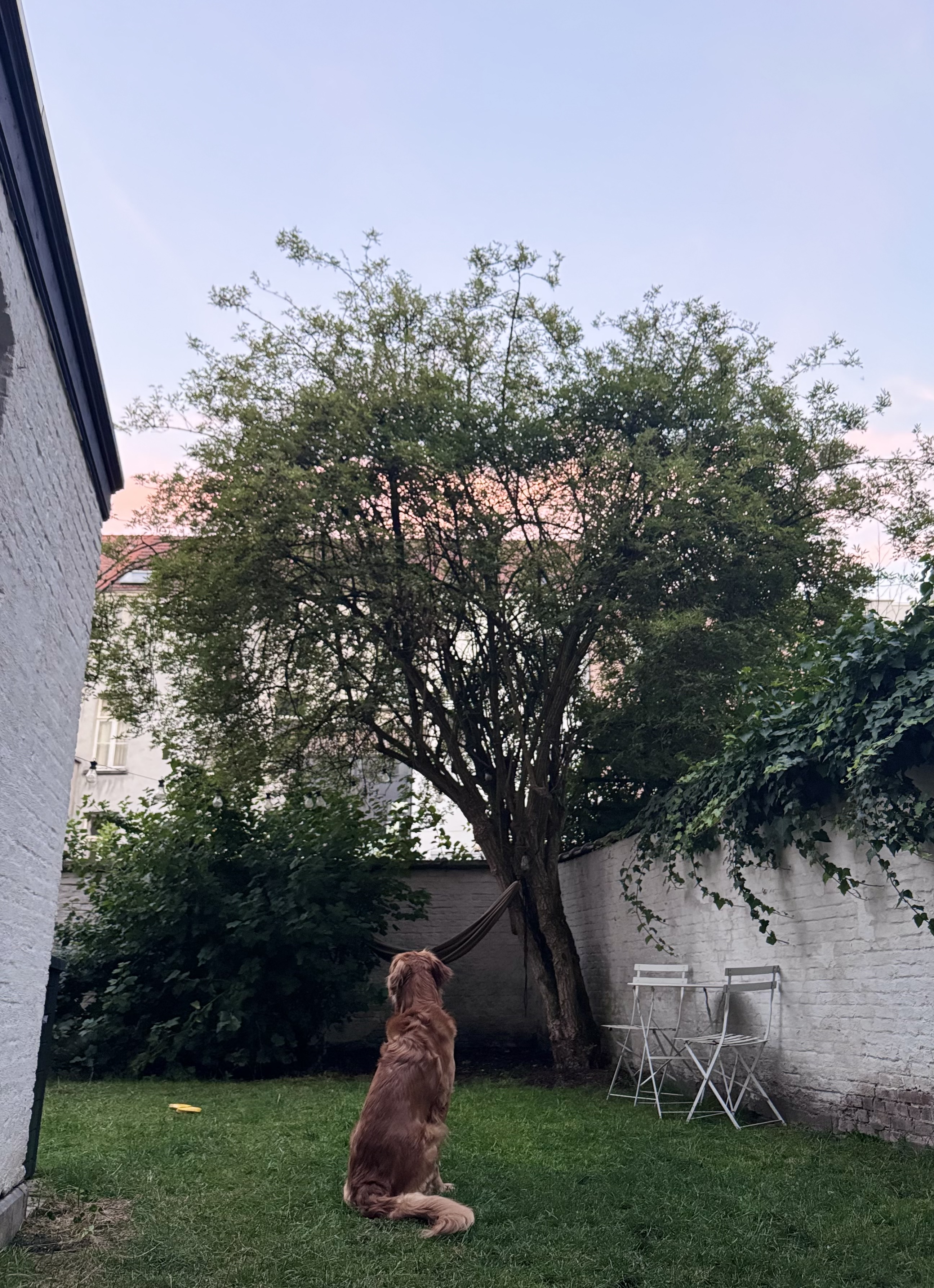 image-17