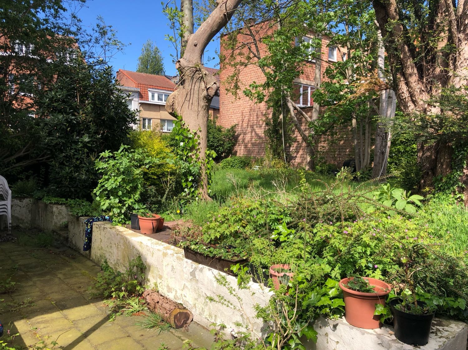 image-18