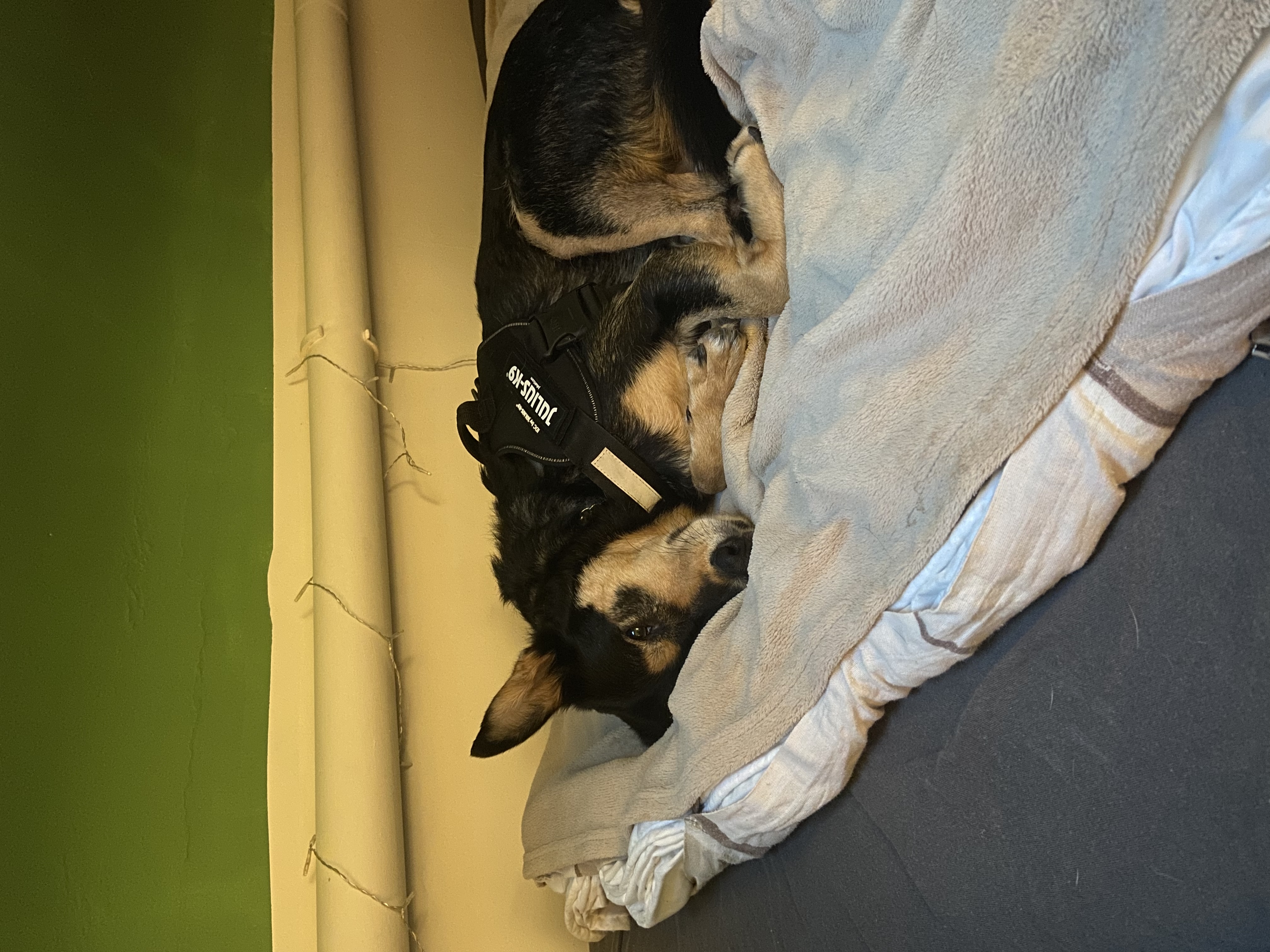 image-12