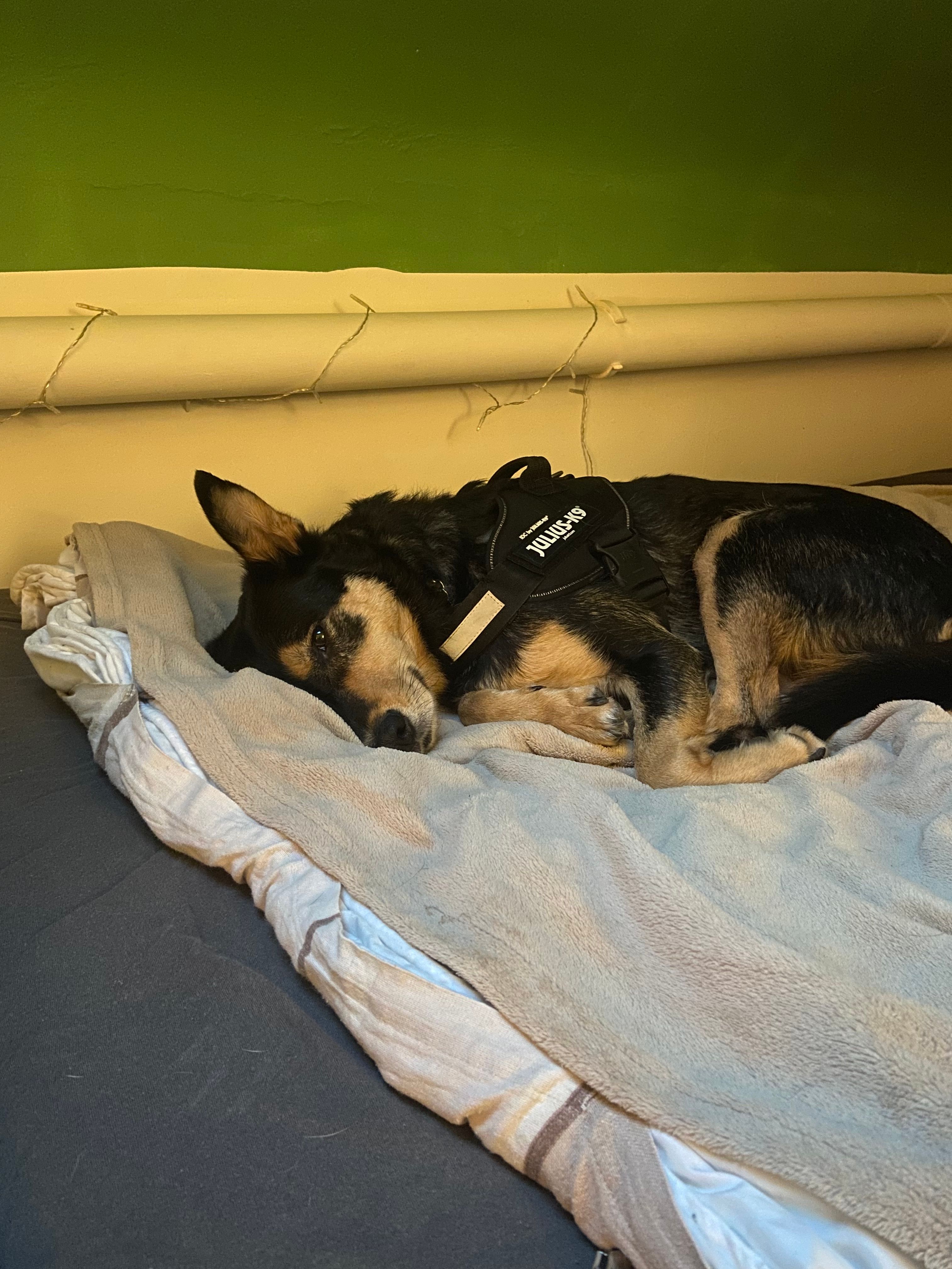 image-12