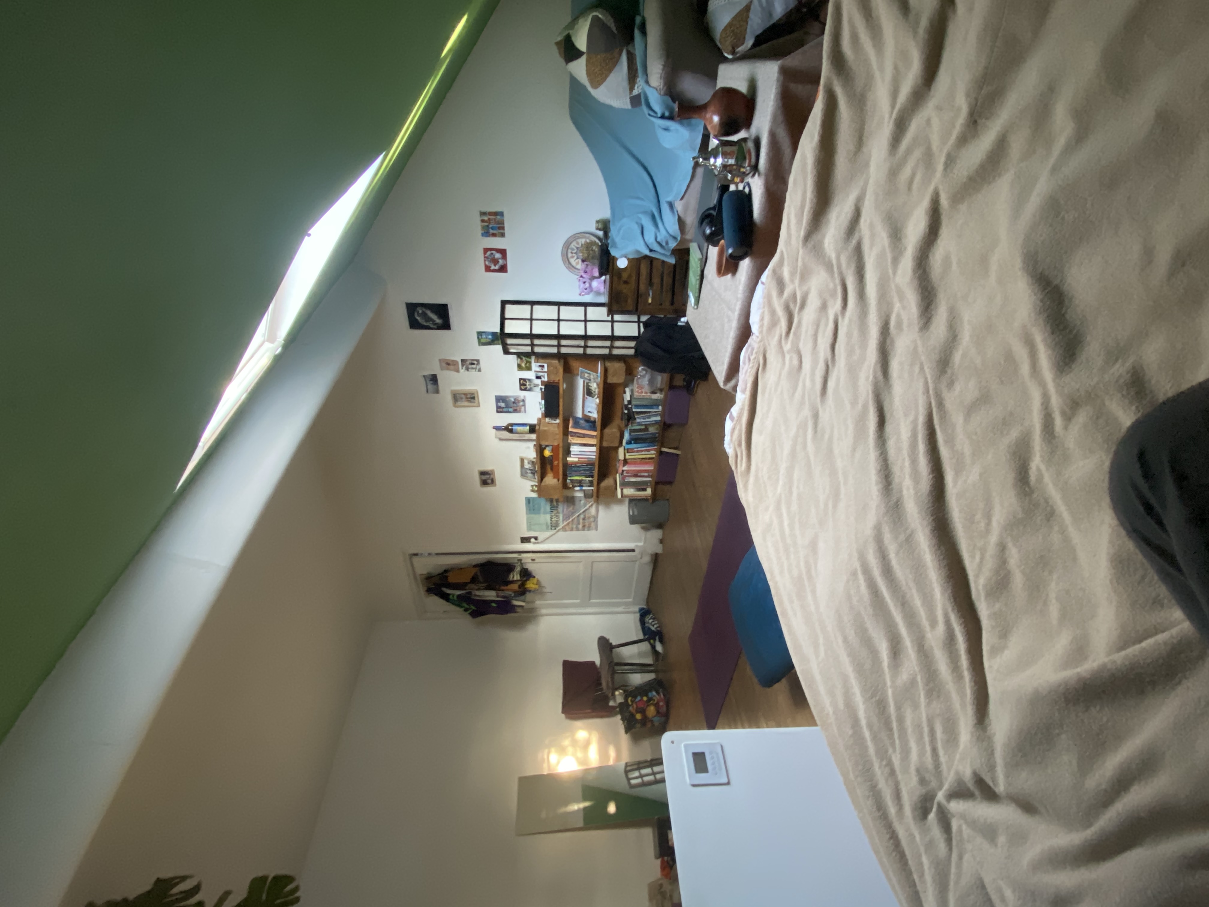 image-19